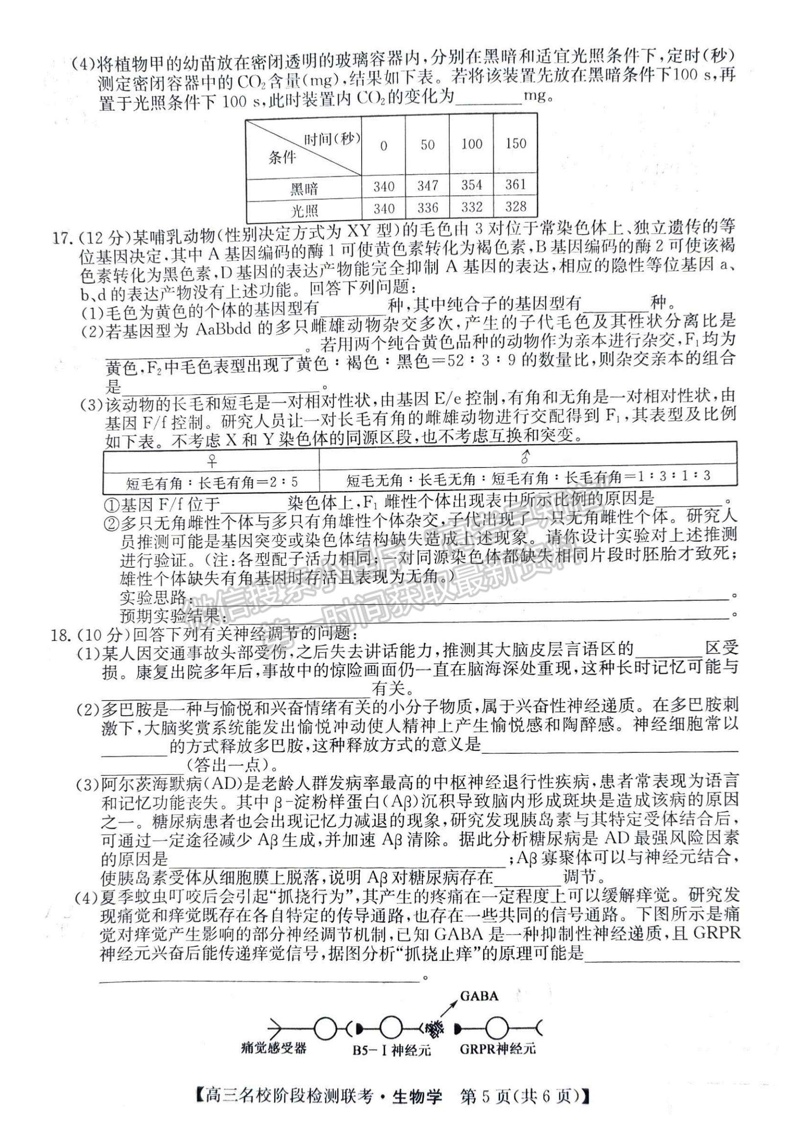 2024屆耀正優(yōu)+12月高三名校階段檢測聯(lián)考生物試卷及參考答案