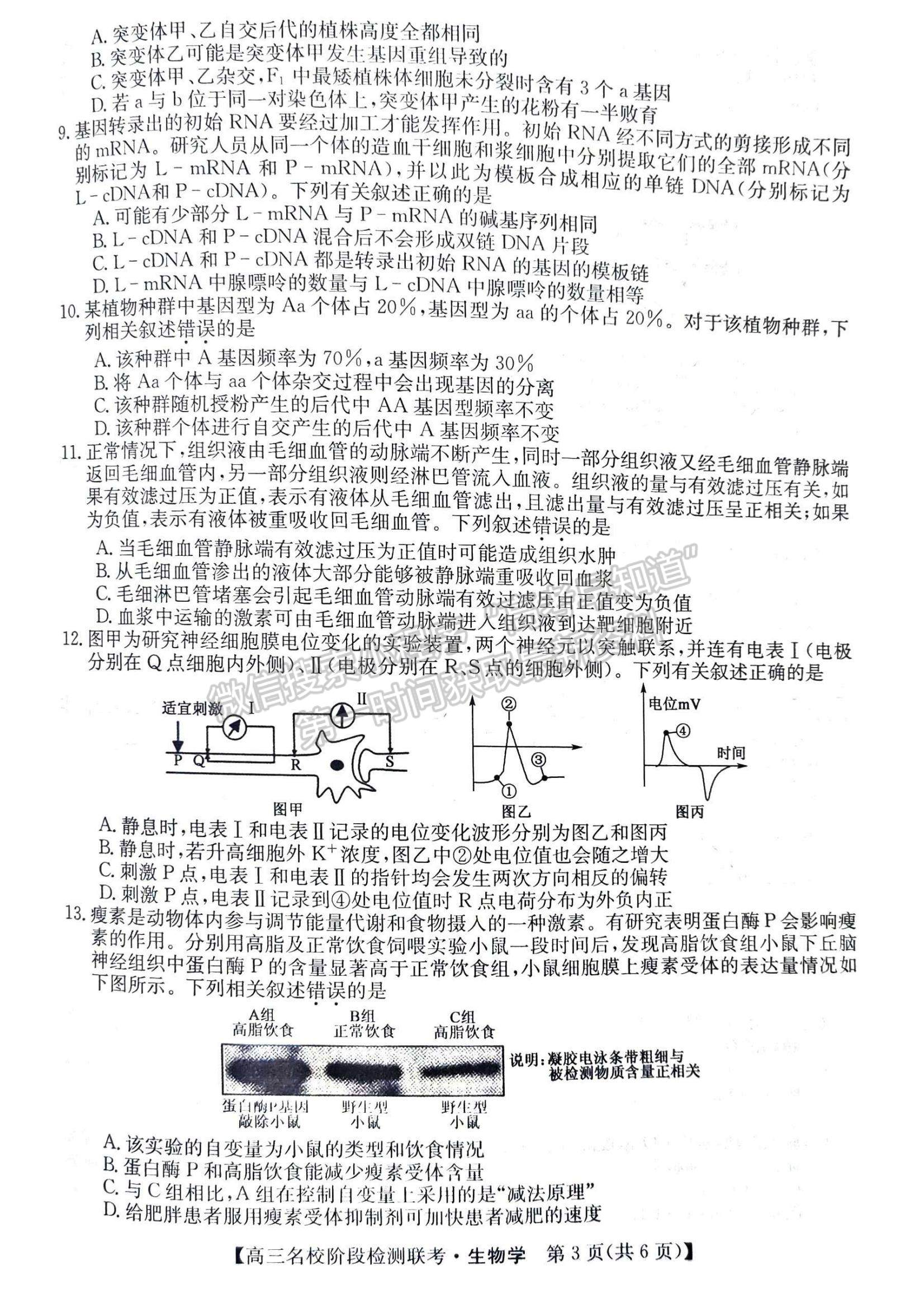 2024屆耀正優(yōu)+12月高三名校階段檢測(cè)聯(lián)考生物試卷及參考答案