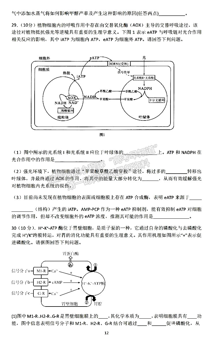 成都七中2023-2024學(xué)年度2024屆高三(上)一診模擬試卷理綜試卷及參考答案