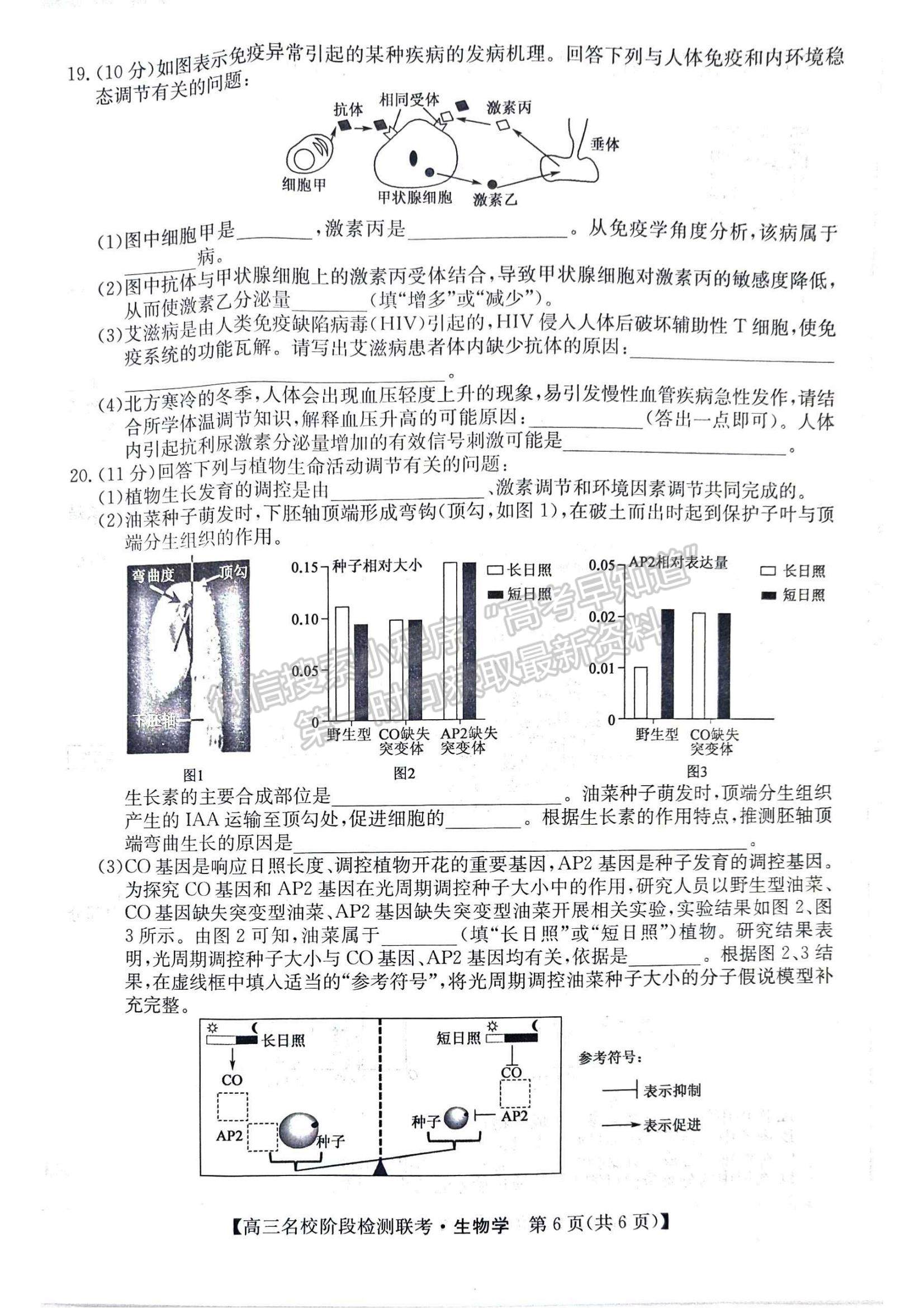 2024屆耀正優(yōu)+12月高三名校階段檢測聯(lián)考生物試卷及參考答案