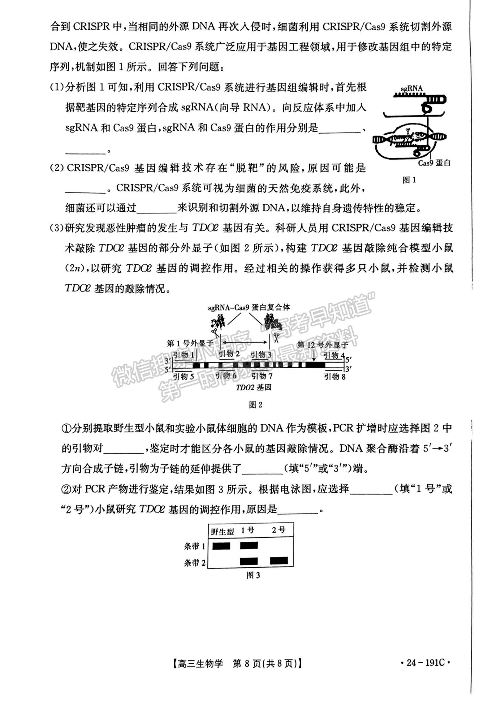 2024届湖北省高三12月百校联考（24-191C）生物试题及答案