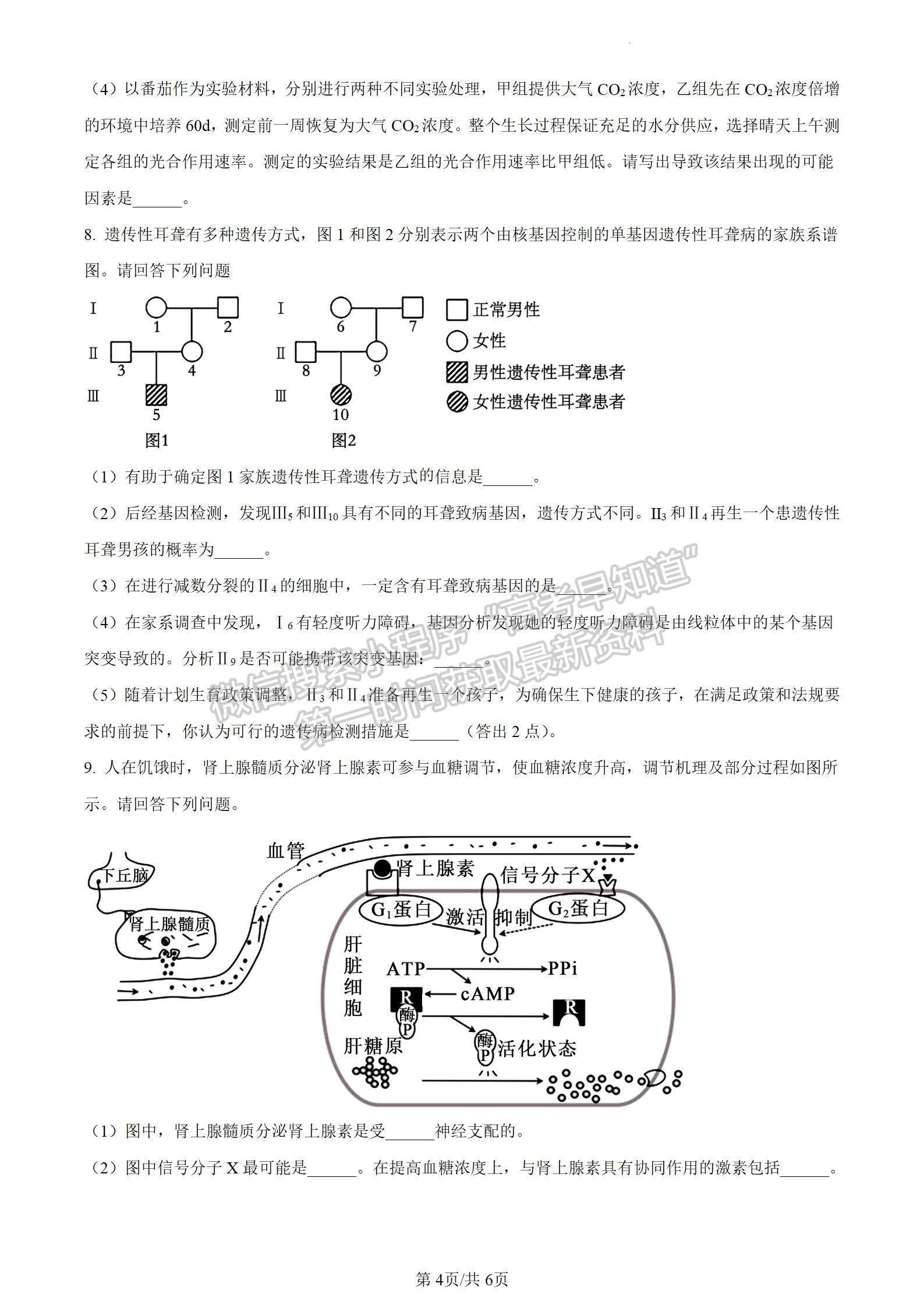 河南省開封市2024屆高三年級第一次模擬考試生物試題及參考答案