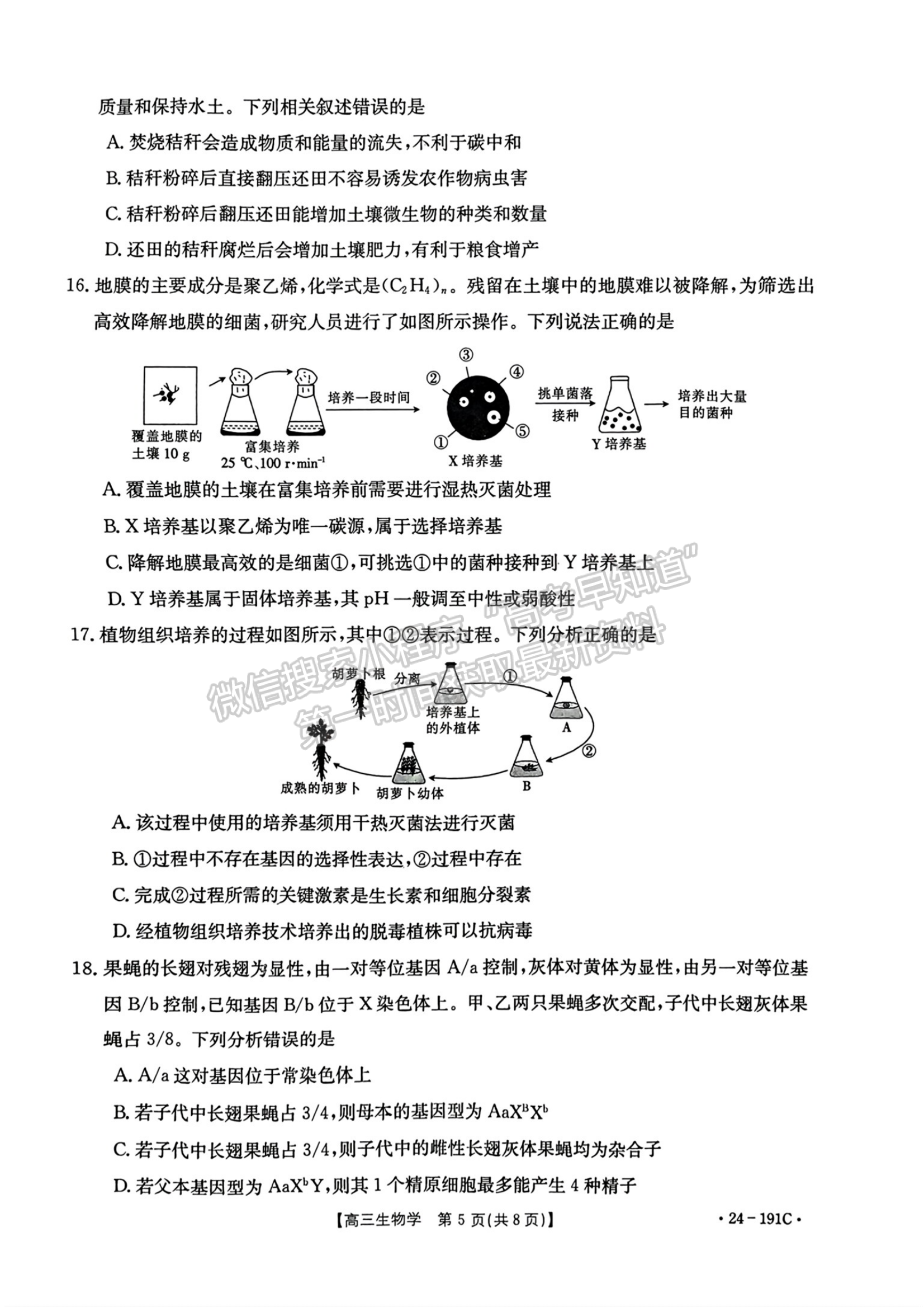 2024届湖北省高三12月百校联考（24-191C）生物试题及答案