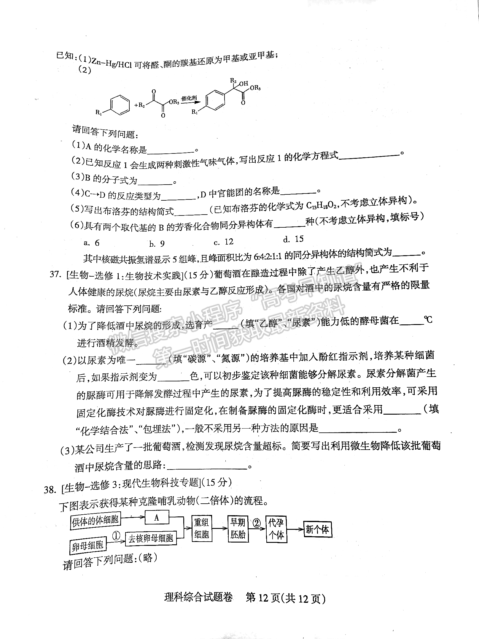 2024四川凉山州高中毕业班第一次诊断性检测理综试题及参考答案