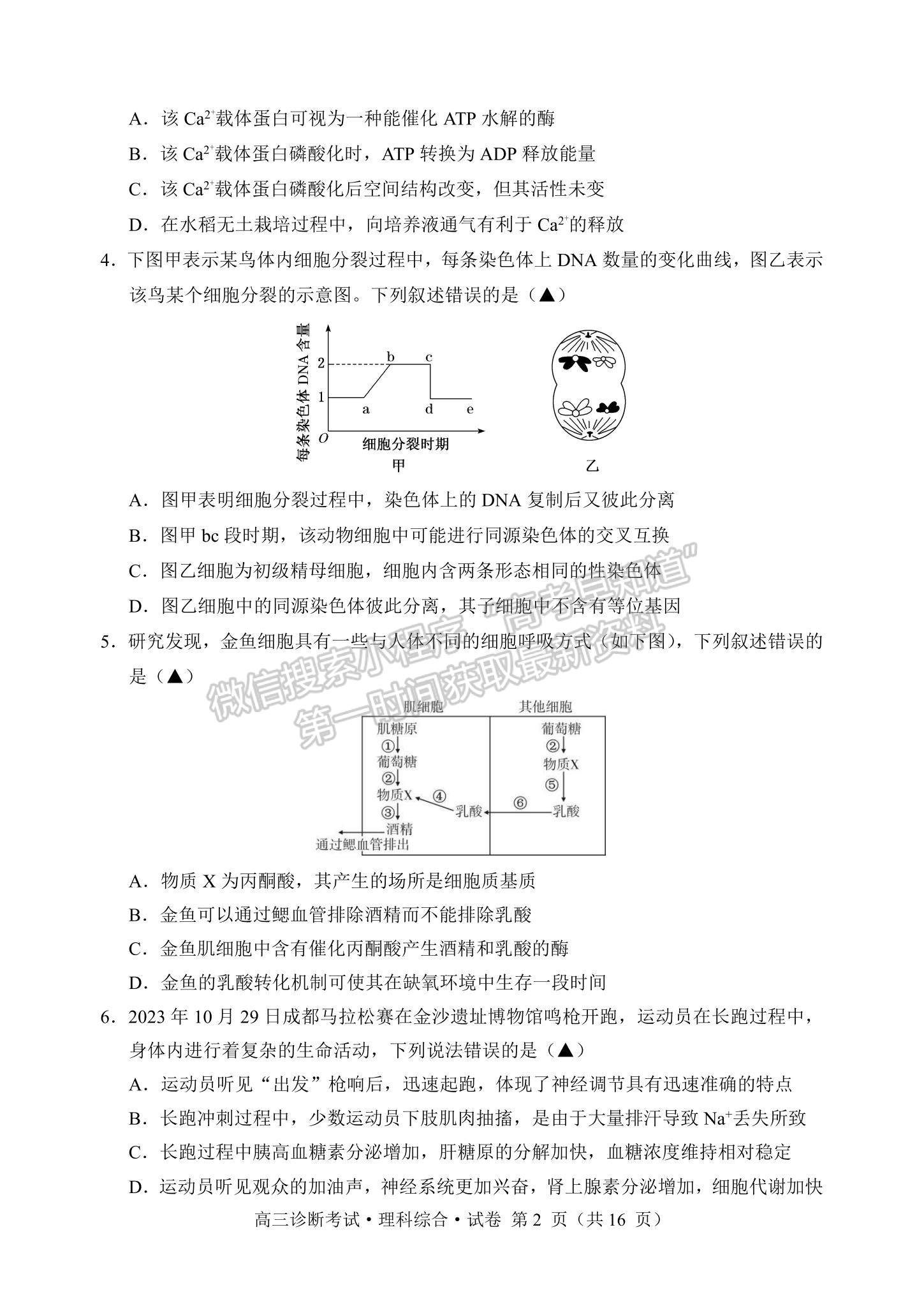 2024四川省甘孜藏族自治州2024屆普通高中第一次診斷考試?yán)砭C試卷及參考答案