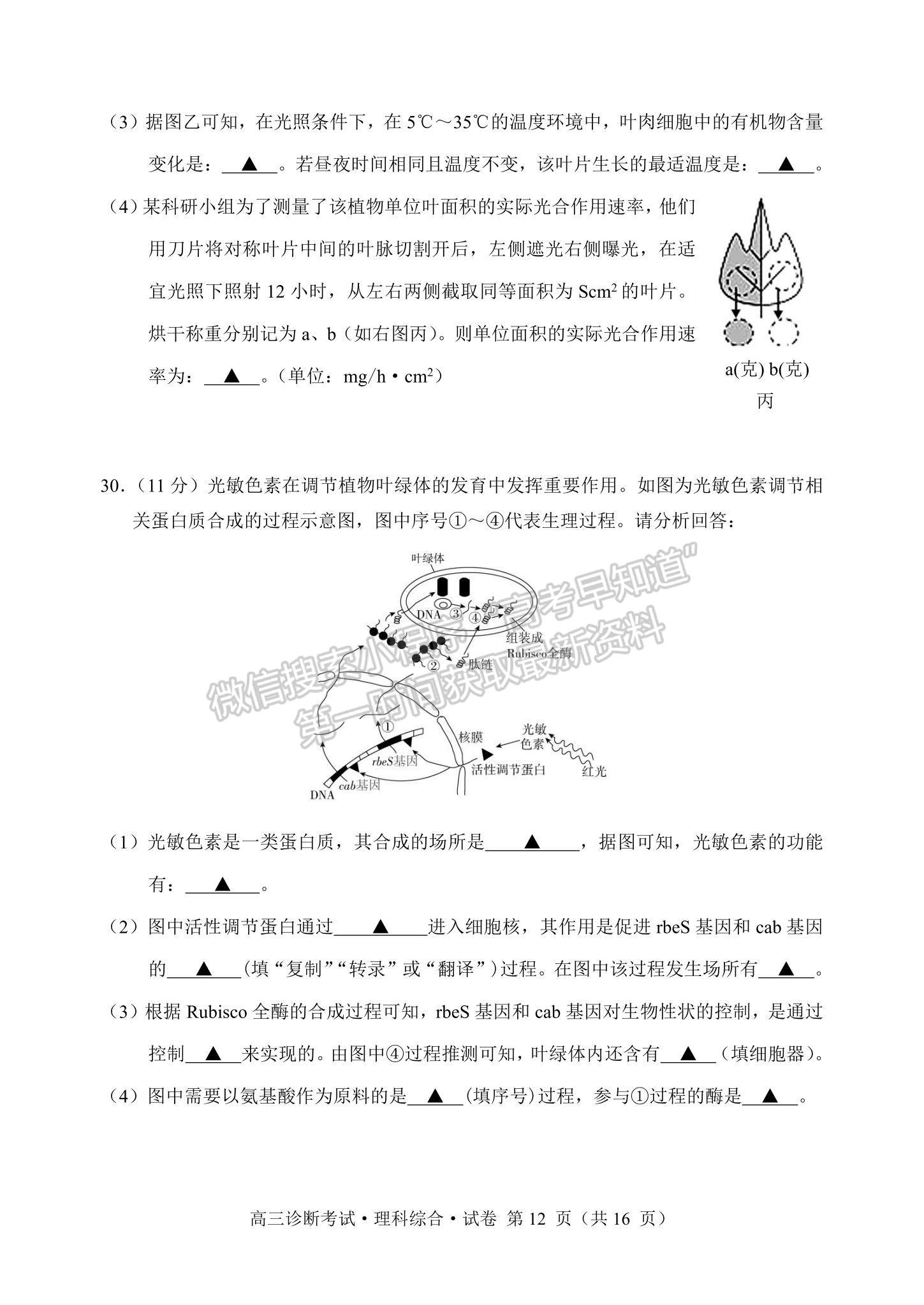 2024四川省甘孜藏族自治州2024届普通高中第一次诊断考试理综试卷及参考答案