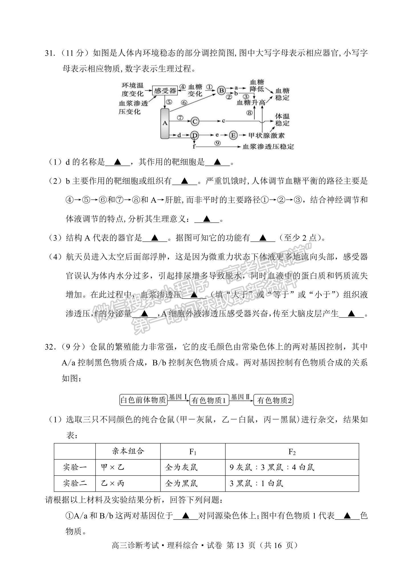 2024四川省甘孜藏族自治州2024届普通高中第一次诊断考试理综试卷及参考答案