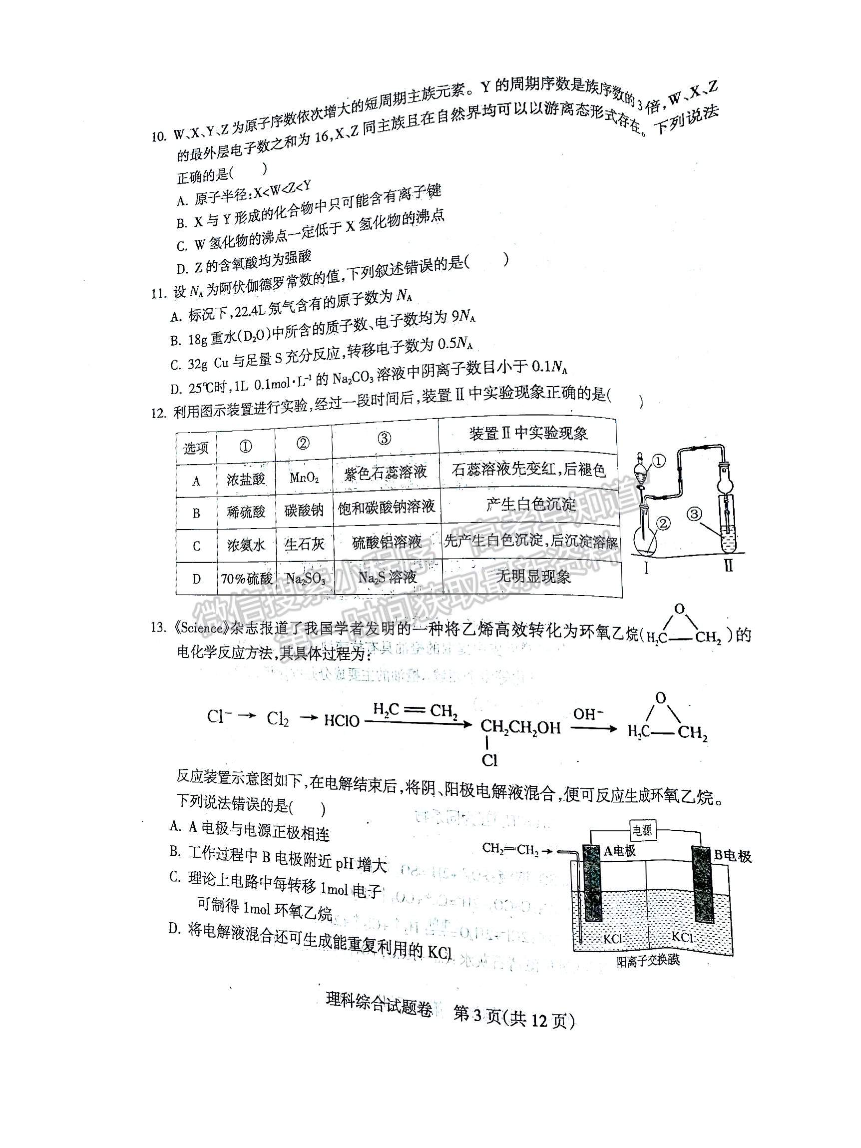 2024四川涼山州高中畢業(yè)班第一次診斷性檢測理綜試題及參考答案