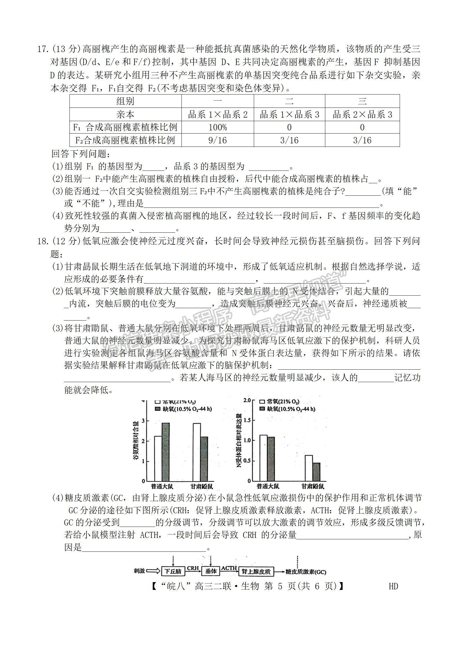 安徽省2024届皖南八校高三第二次大联考生物试卷及参考答案