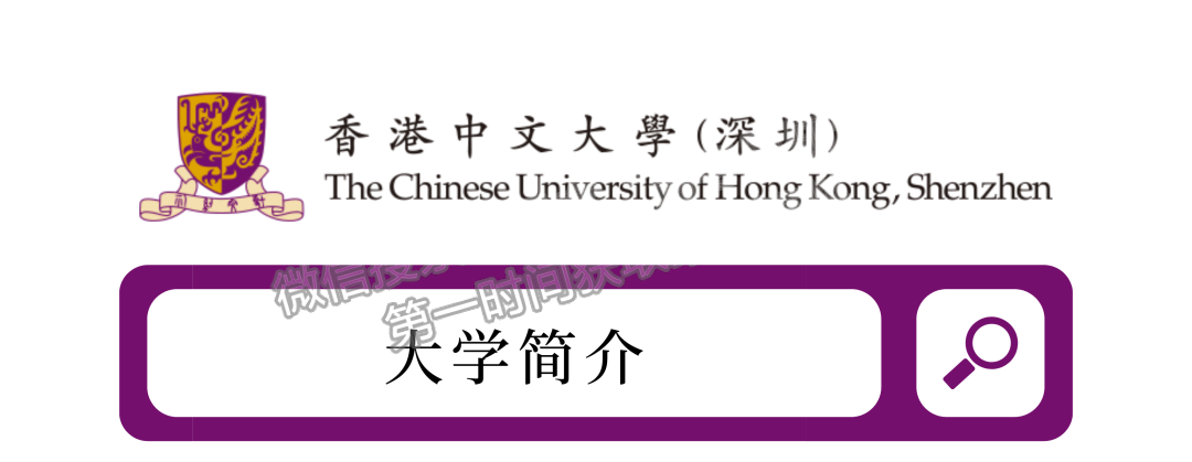 香港中文大学（深圳）2024年综合评价招生简章
