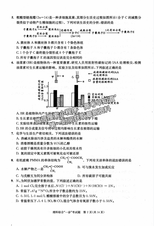 2024四川省成都市2021級高中畢業(yè)班第一次診斷性檢測l理綜試題及參考答案