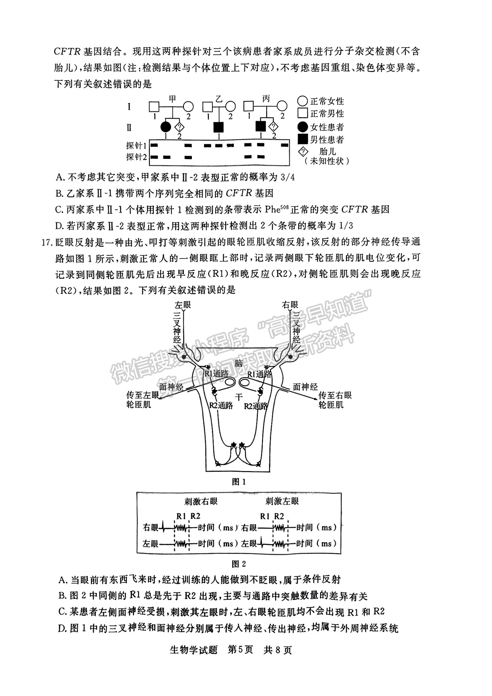 2024届八省高三第一次学业质量评价（T8联考）生物试题及答案