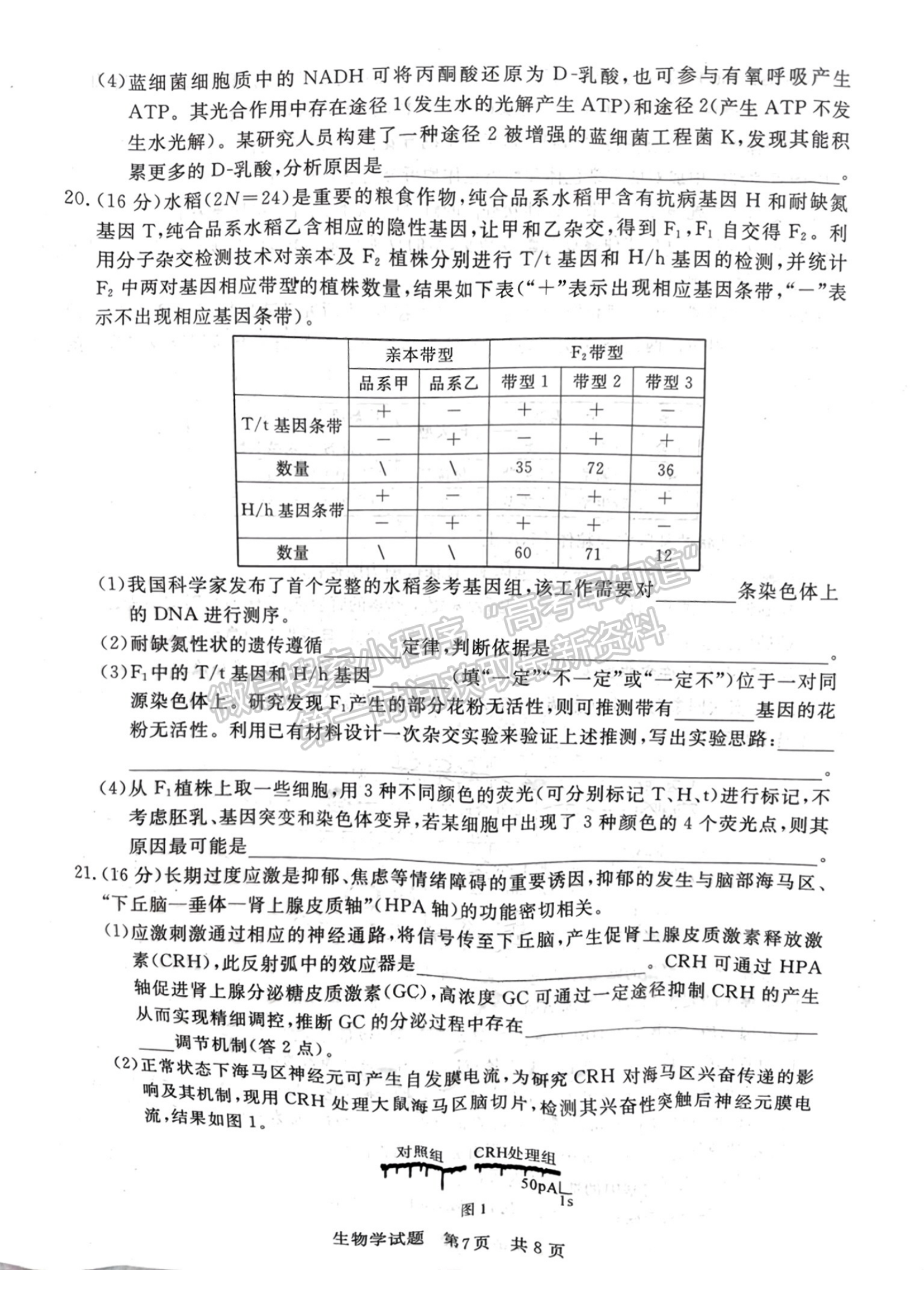 2024届八省高三第一次学业质量评价（T8联考）生物试题及答案