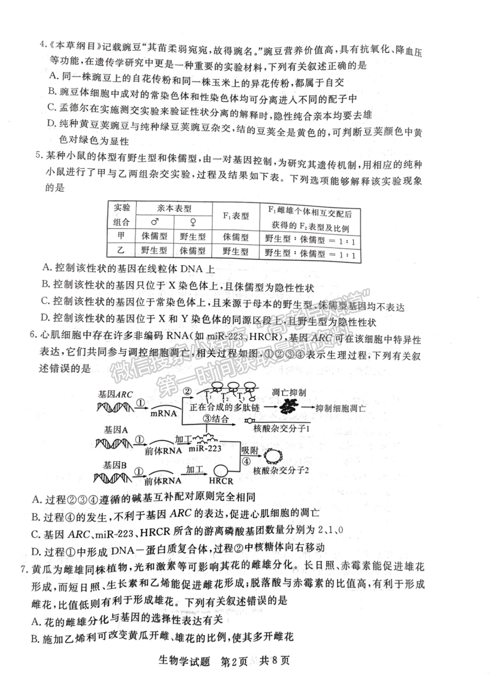 2024届八省高三第一次学业质量评价（T8联考）生物试题及答案