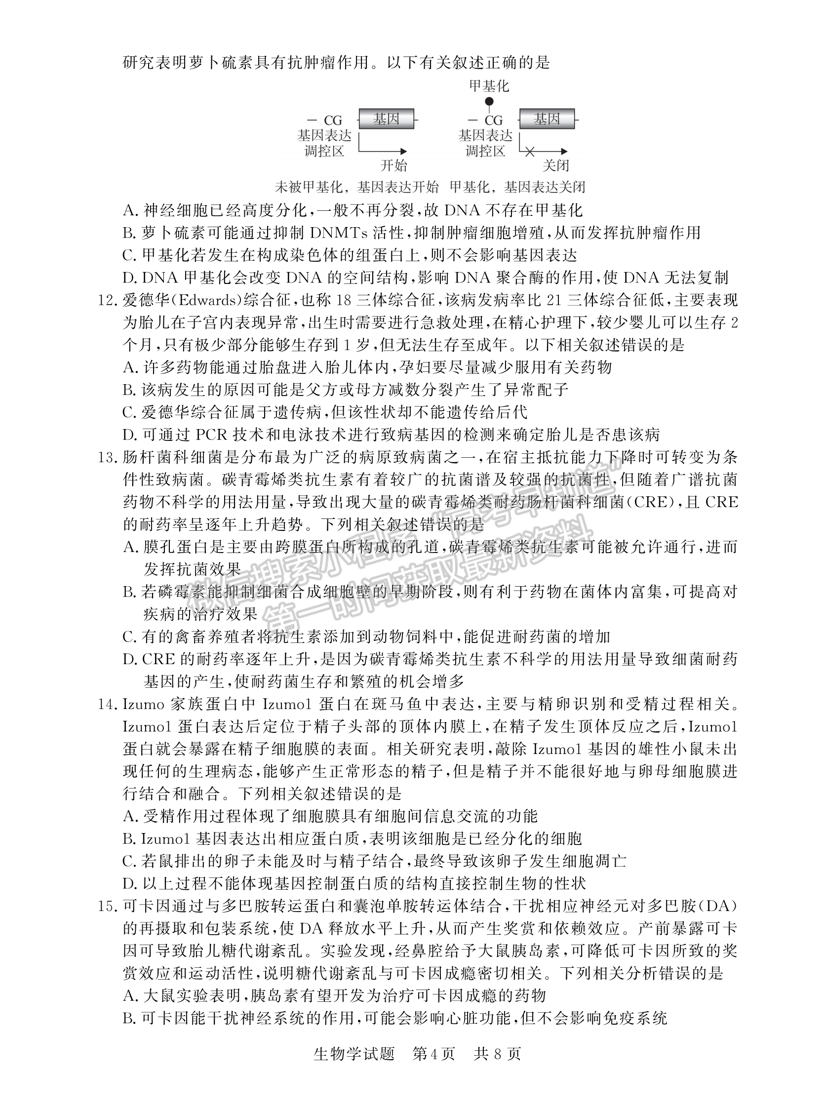 2024届福建高三第一次学业质量评价（T8联考）生物试卷及答案