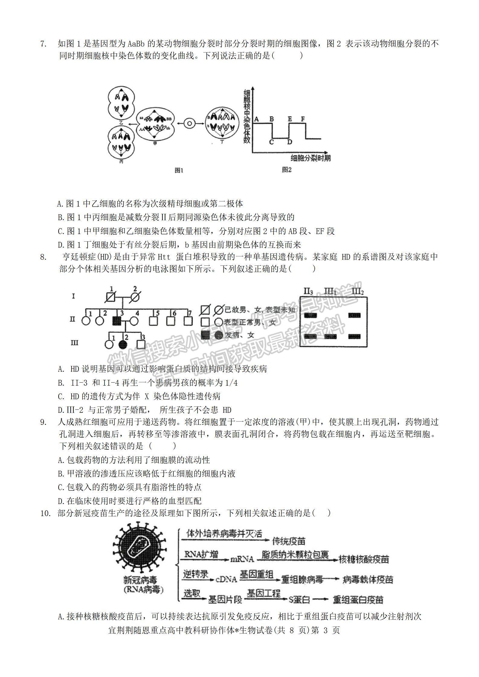 2024届湖北省宜荆荆随恩高三12月联考生物试题及答案