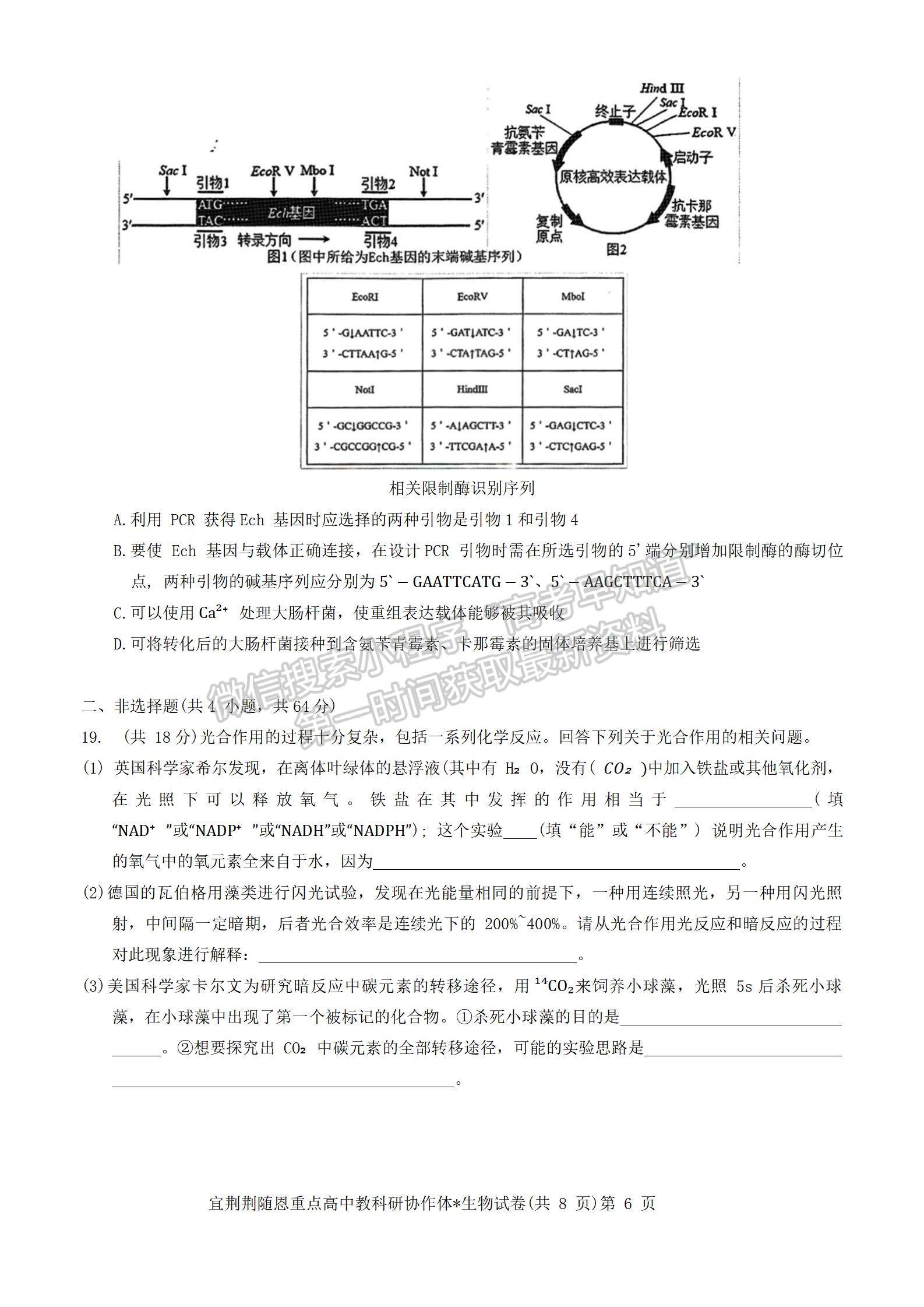 2024届湖北省宜荆荆随恩高三12月联考生物试题及答案