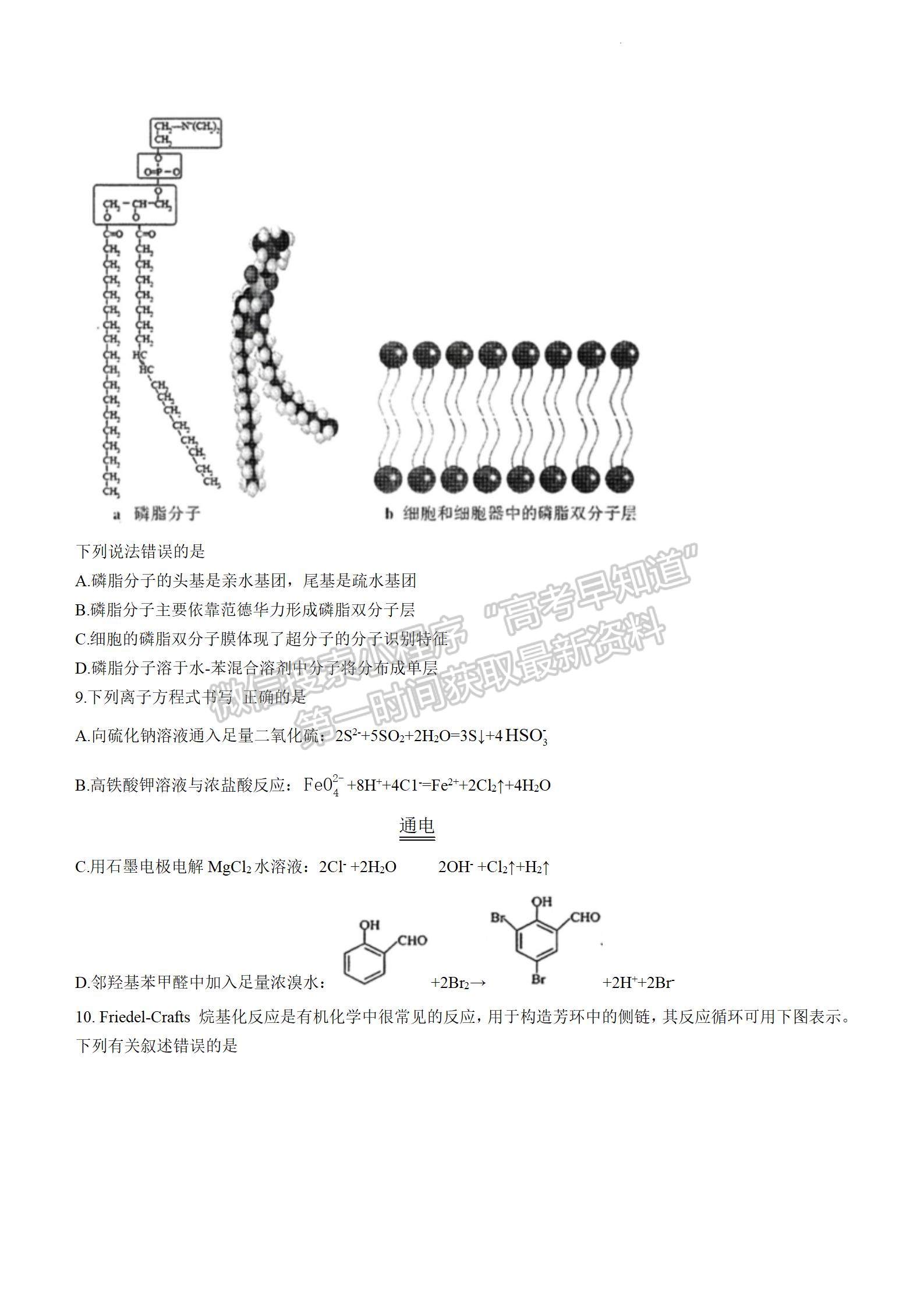 2024届湖北省宜荆荆随恩高三12月联考化学试题及答案