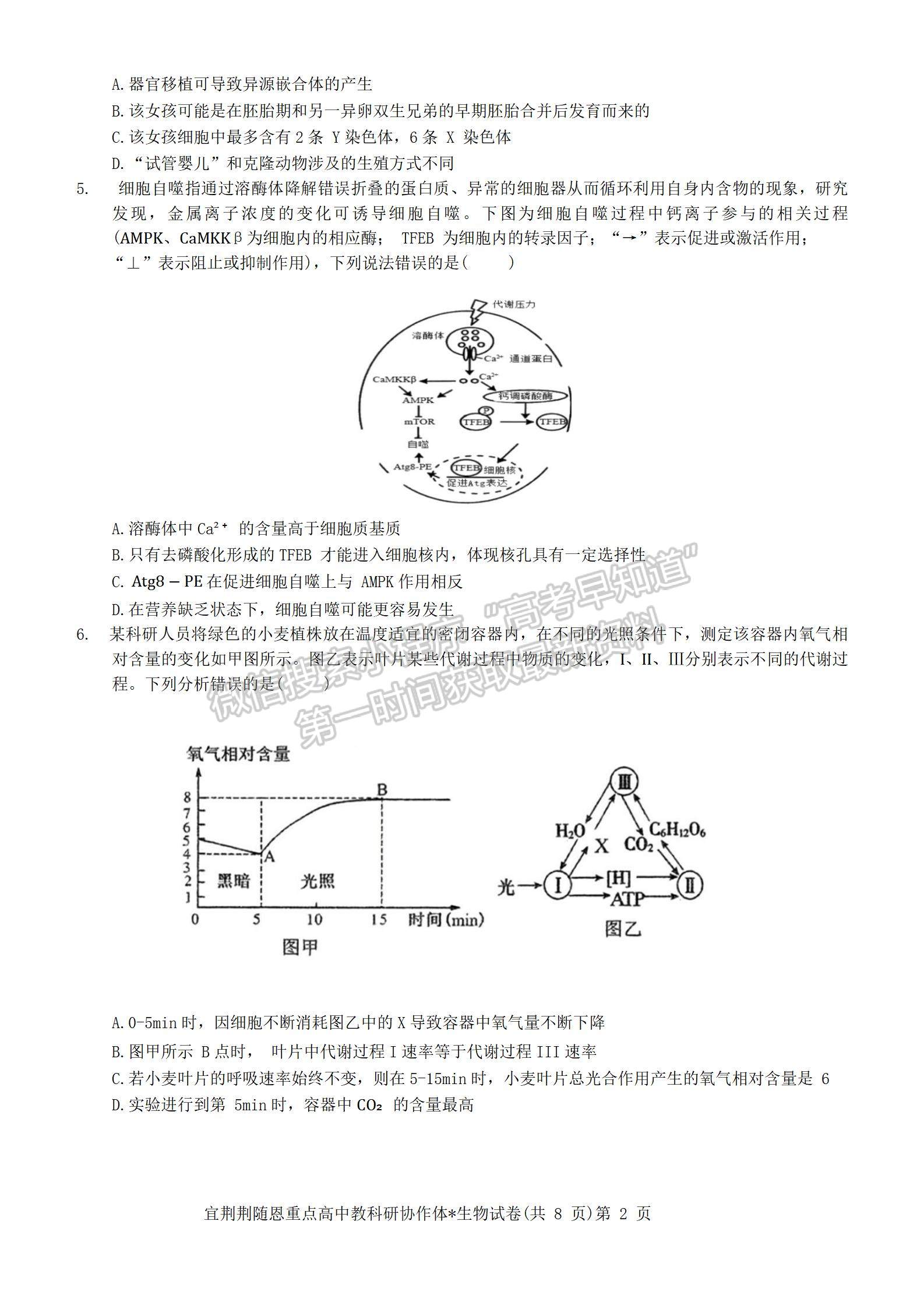 2024届湖北省宜荆荆随恩高三12月联考生物试题及答案