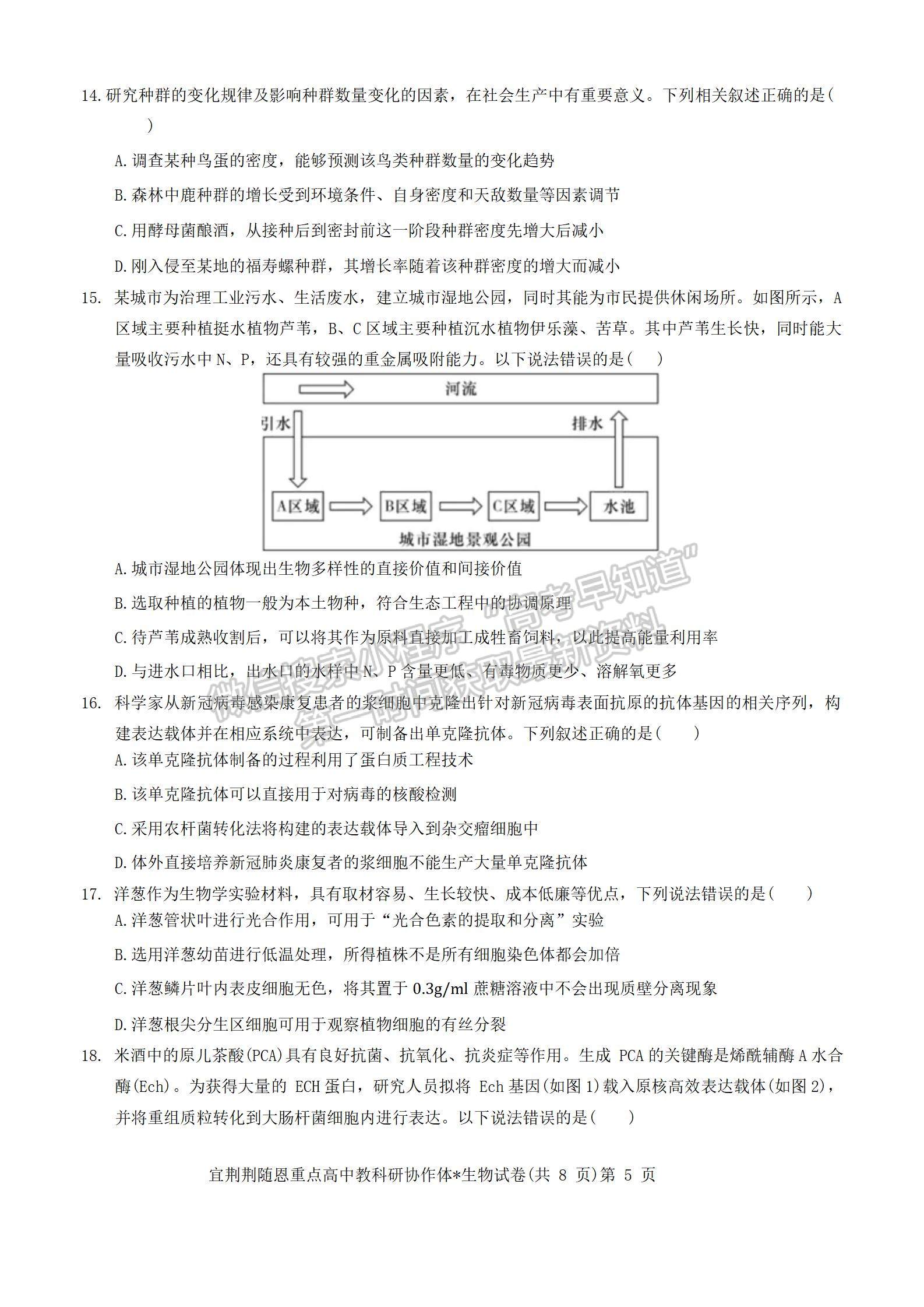 2024届湖北省宜荆荆随恩高三12月联考生物试题及答案