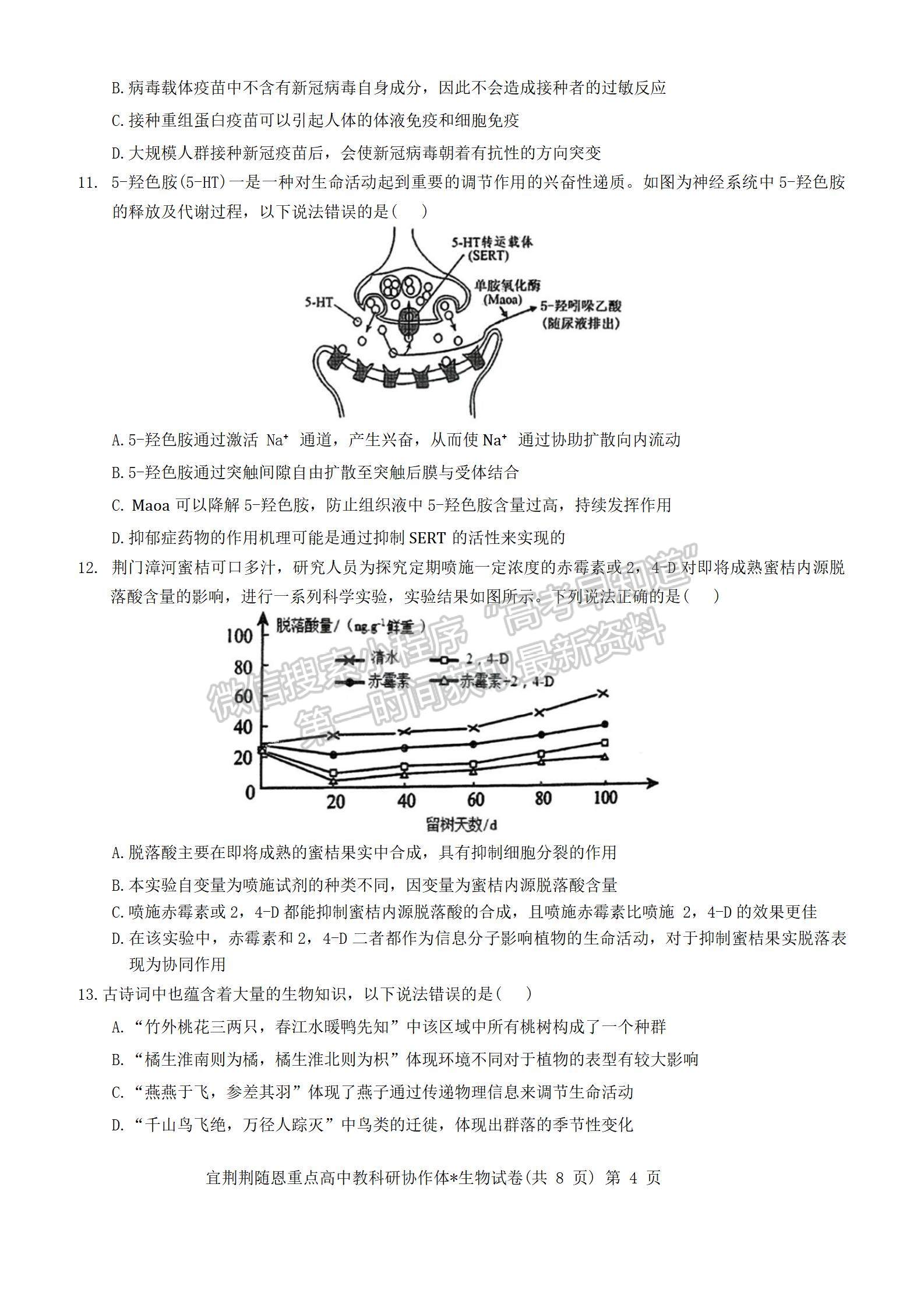 2024届湖北省宜荆荆随恩高三12月联考生物试题及答案