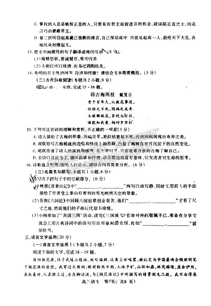 2024河南省平許濟(jì)洛高三第二次質(zhì)量檢測語文試題及參考答案