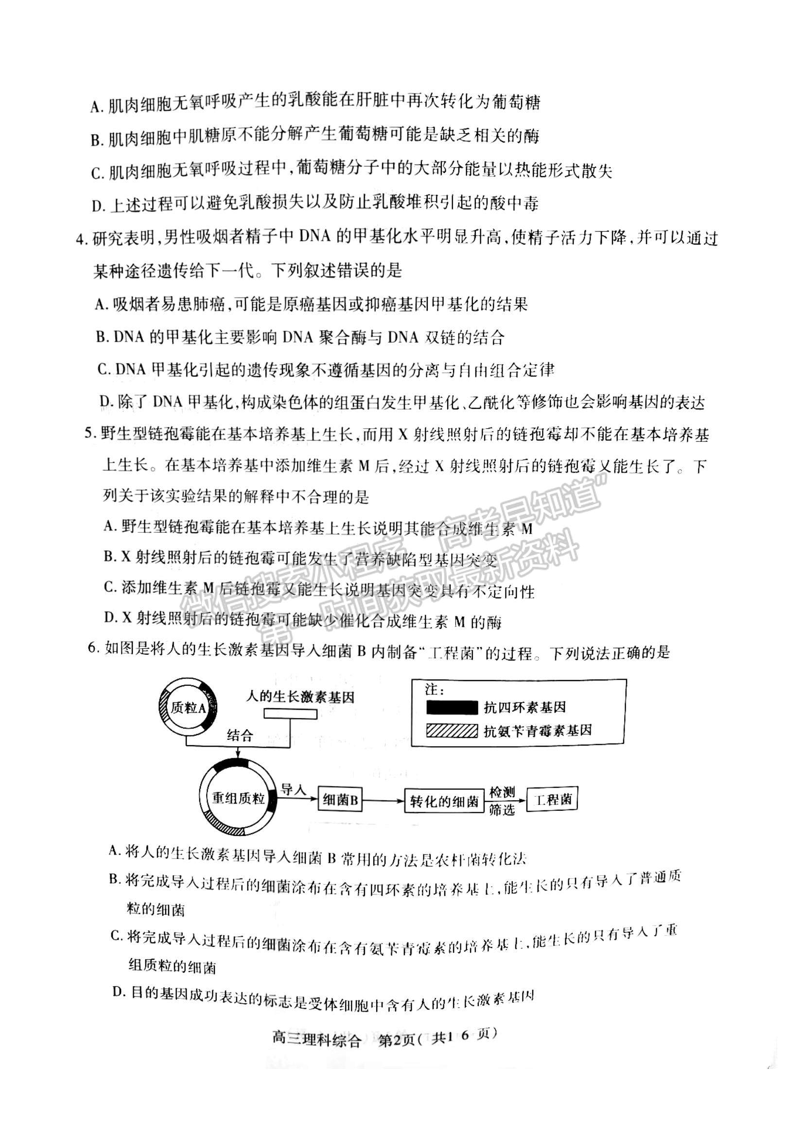 2024河南省平許濟洛高三第二次質(zhì)量檢測理綜試題及參考答案