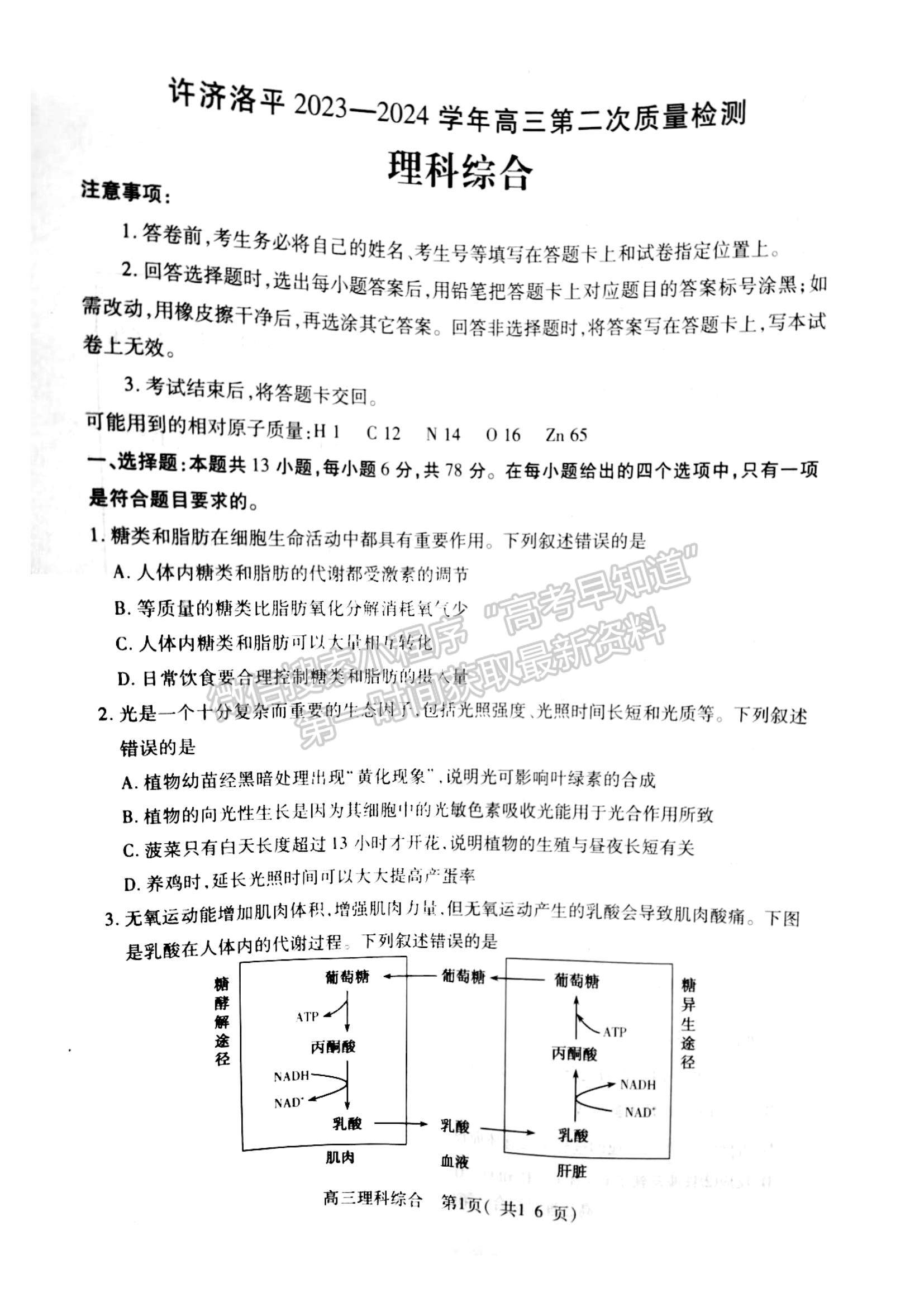 2024河南省平許濟洛高三第二次質(zhì)量檢測理綜試題及參考答案