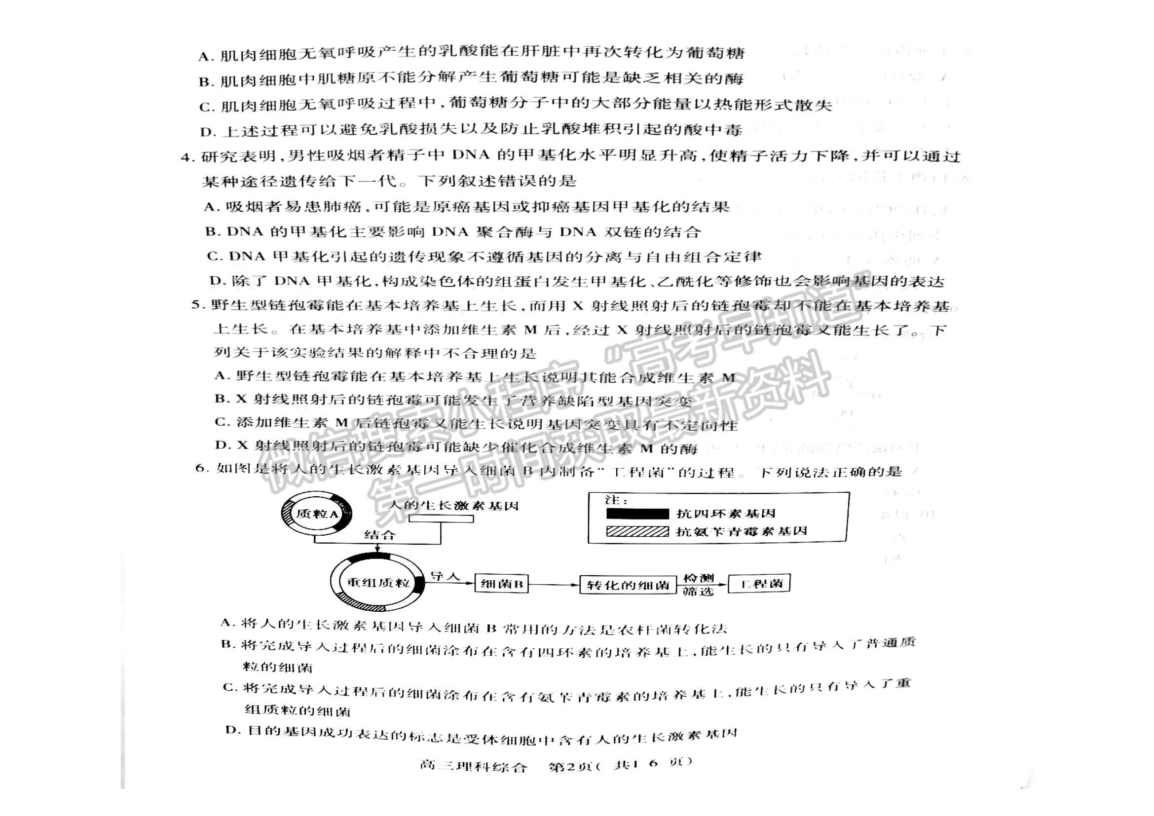 2024河南省平許濟(jì)洛高三第二次質(zhì)量檢測(cè)理綜試題及參考答案