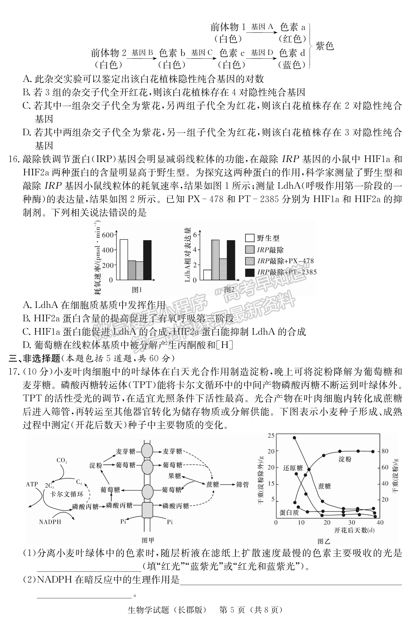 2024届湖南省长沙市长郡中学高三月考（五）生物试题及答案