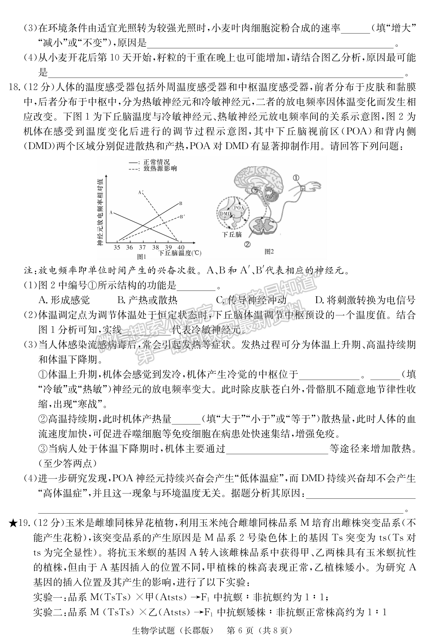 2024届湖南省长沙市长郡中学高三月考（五）生物试题及答案