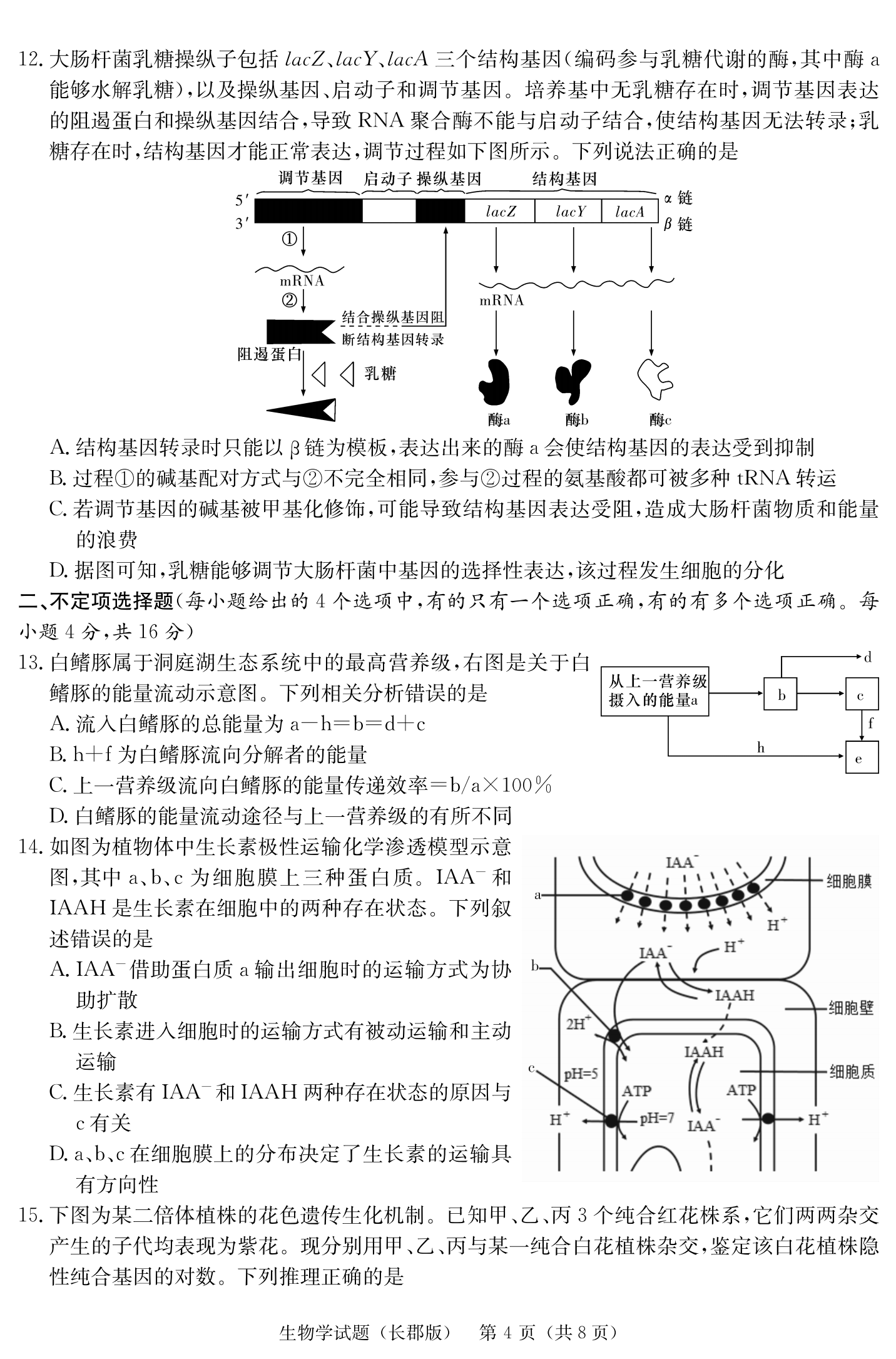 2024ʡɳгѧ¿壩⼰