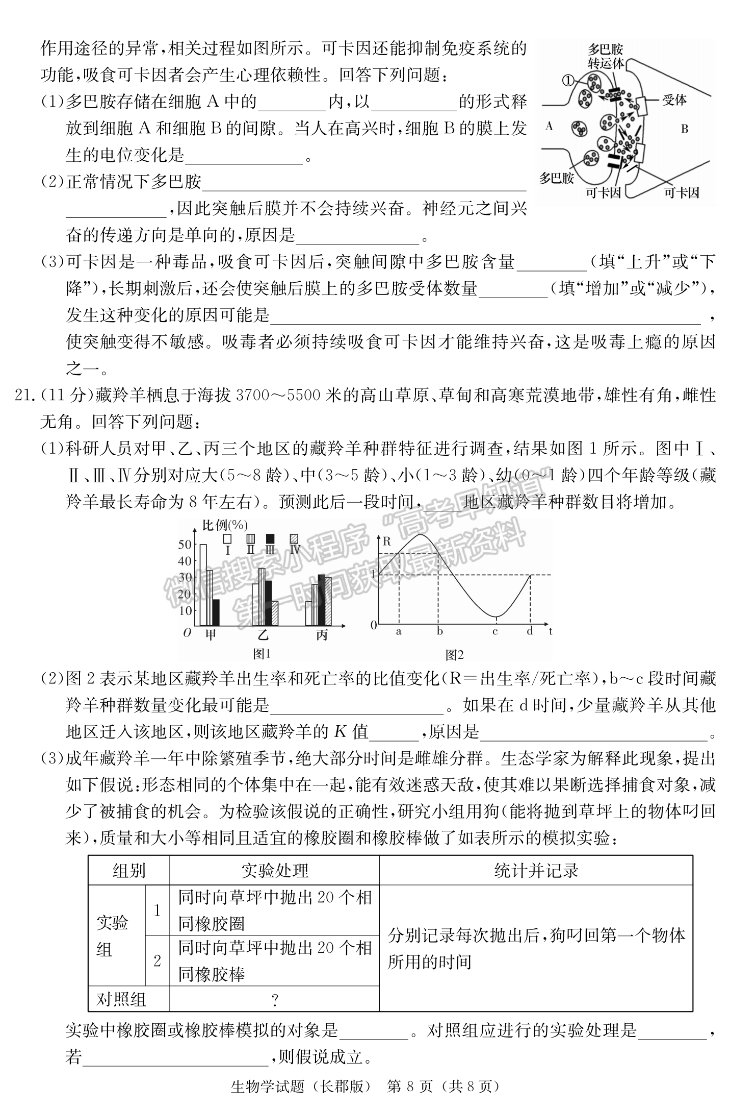 2024届湖南省长沙市长郡中学高三月考（四）生物试题及答案