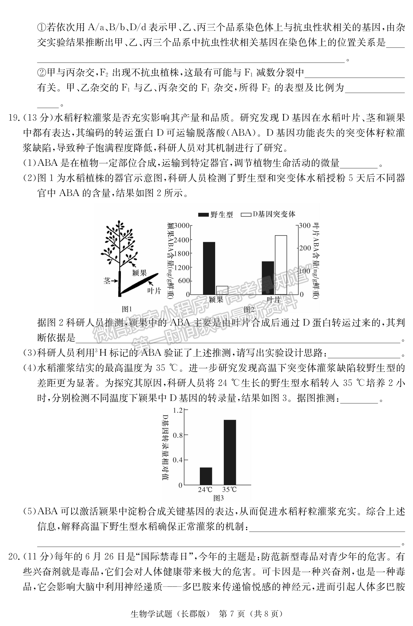 2024届湖南省长沙市长郡中学高三月考（四）生物试题及答案