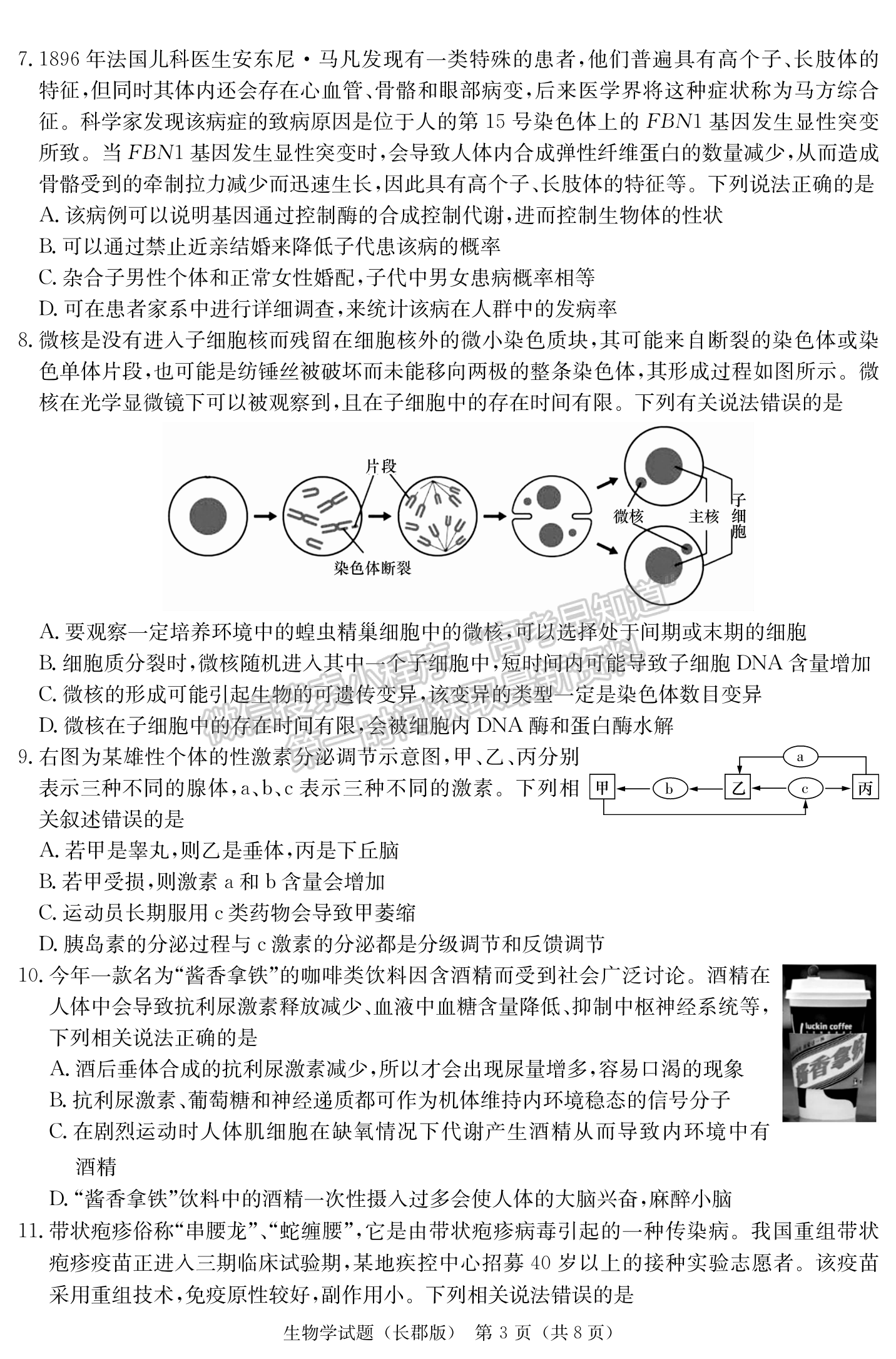 2024届湖南省长沙市长郡中学高三月考（四）生物试题及答案