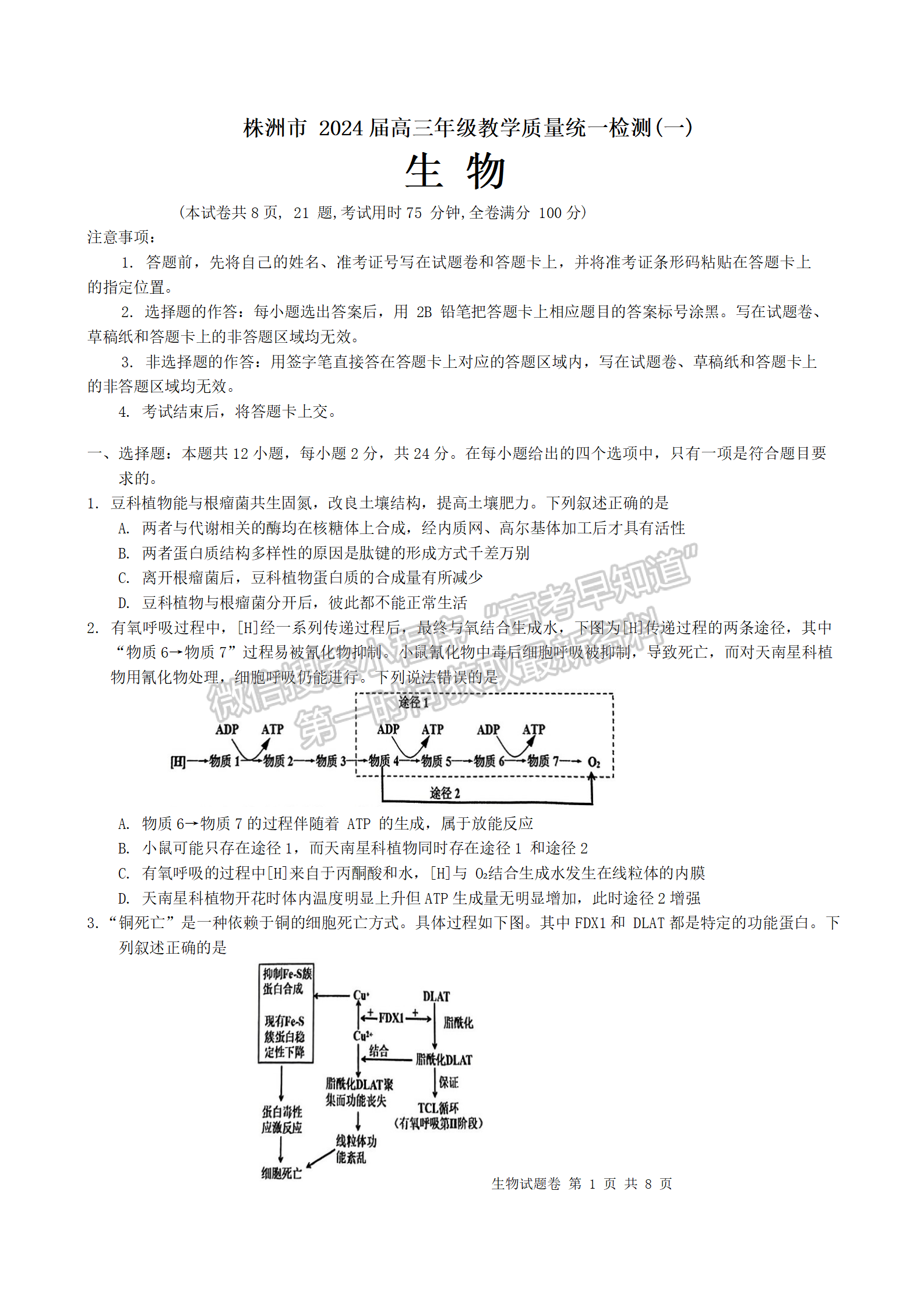 2024届湖南株洲高三教学质量统一检测（一）生物试卷及答案