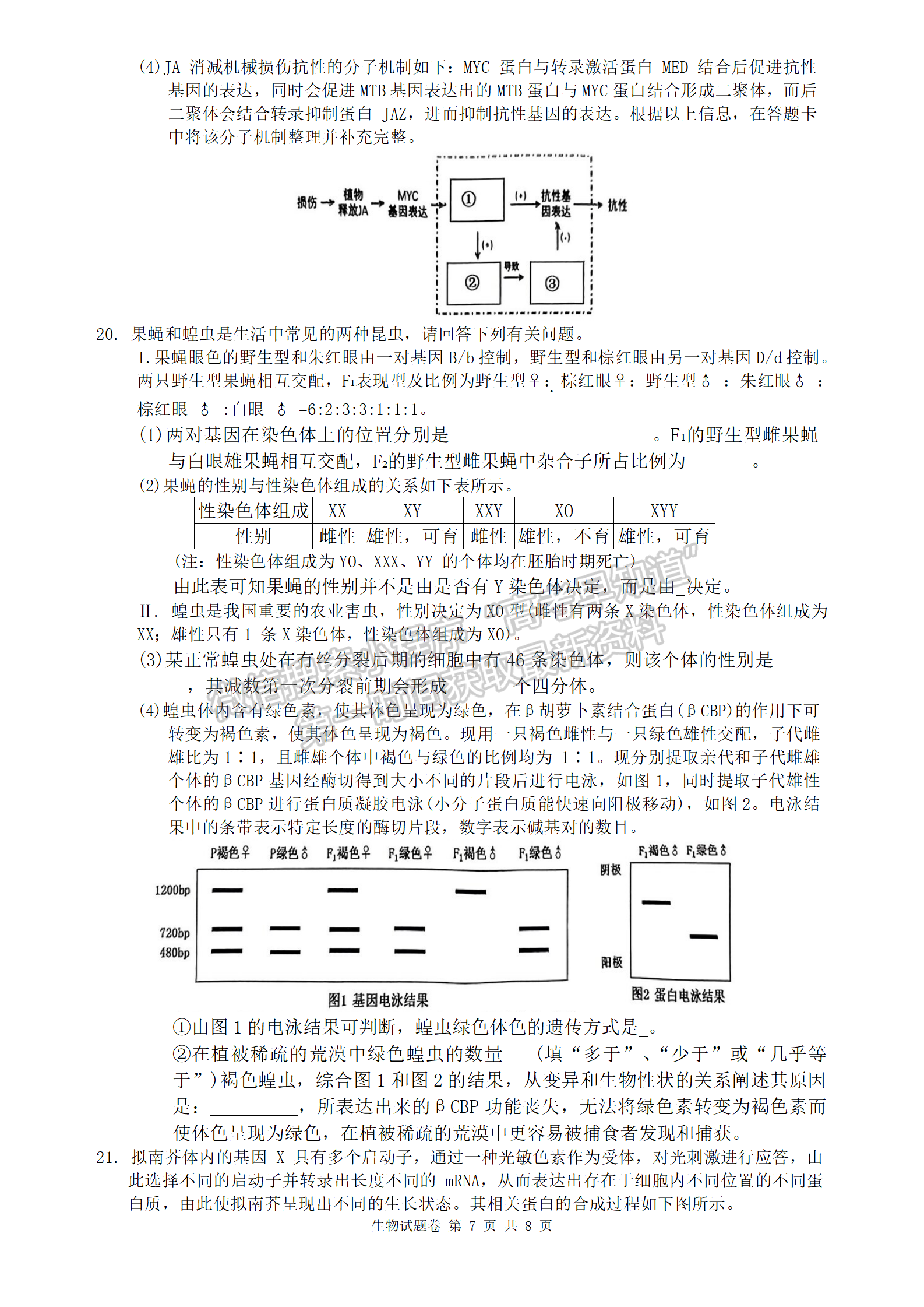 2024届湖南株洲高三教学质量统一检测（一）生物试卷及答案