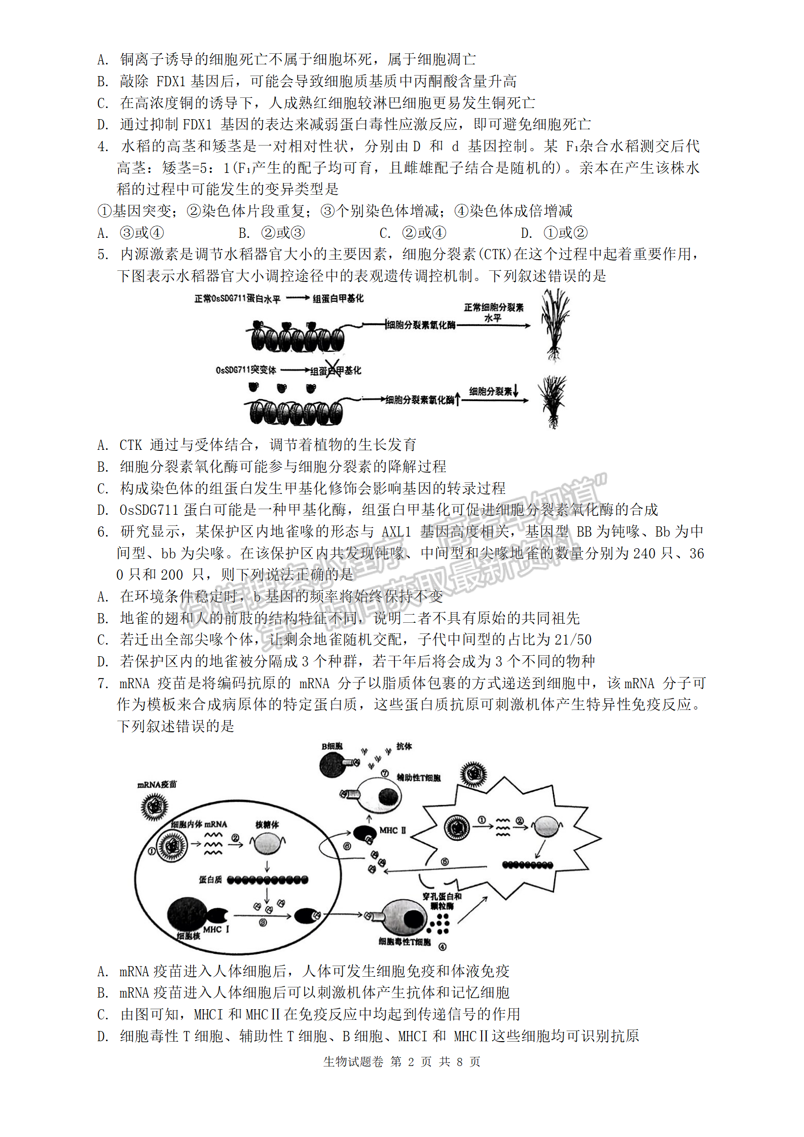 2024届湖南株洲高三教学质量统一检测（一）生物试卷及答案