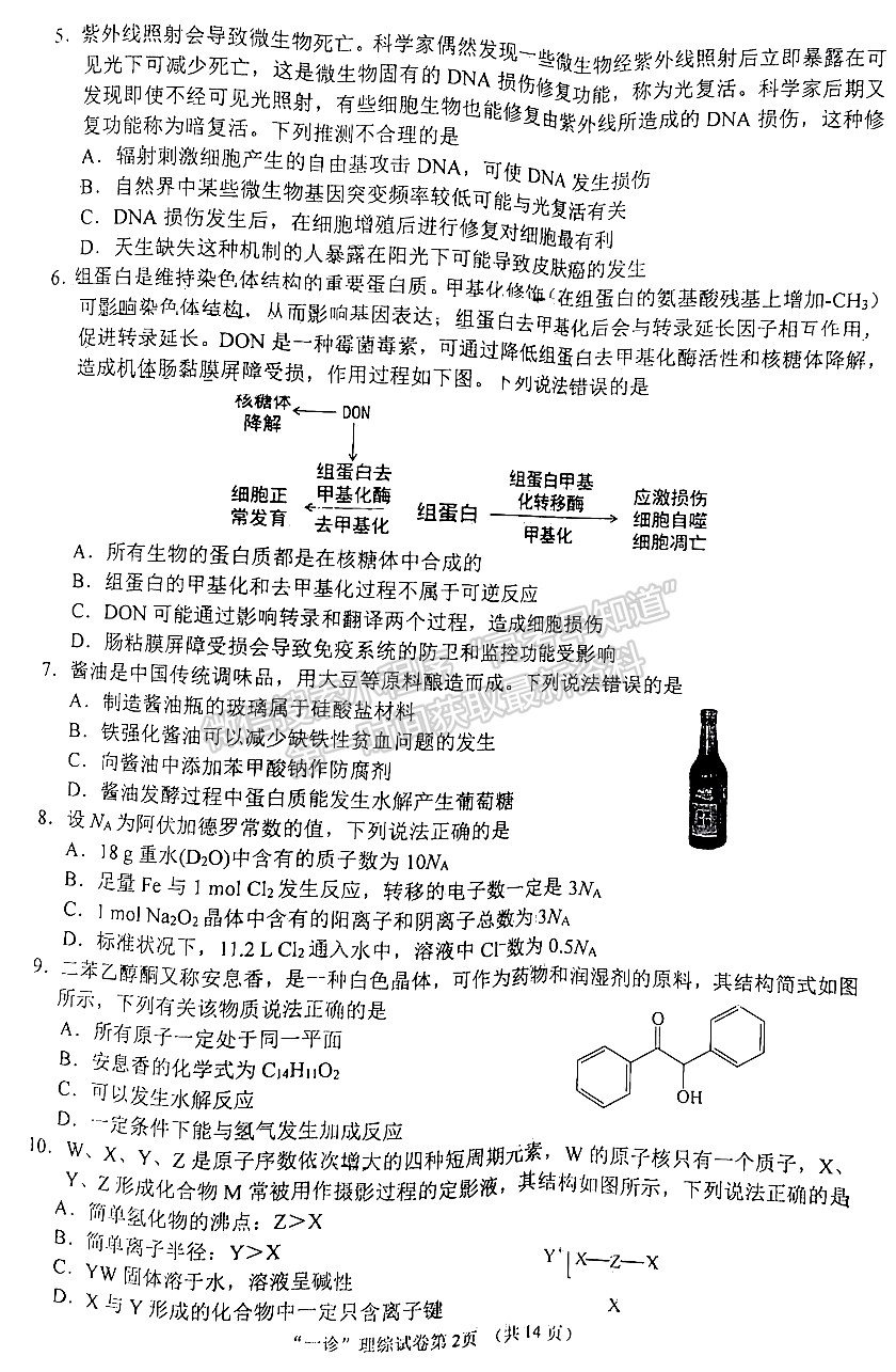 2024四川省南充市高2024屆高考適應性考試（一診）理綜試題及參考答案