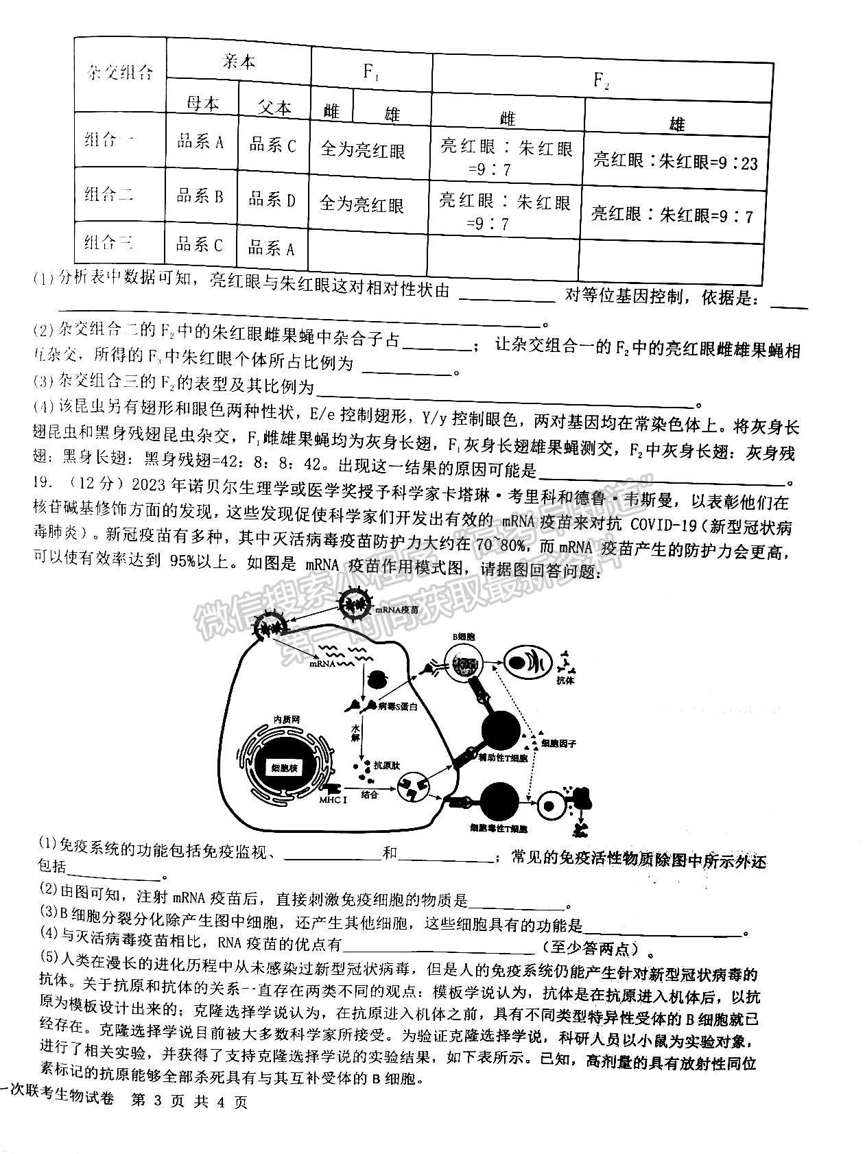 江西省五市九校協(xié)作體2023-2024學(xué)年高三上學(xué)期第一次聯(lián)考生物試卷及參考答案