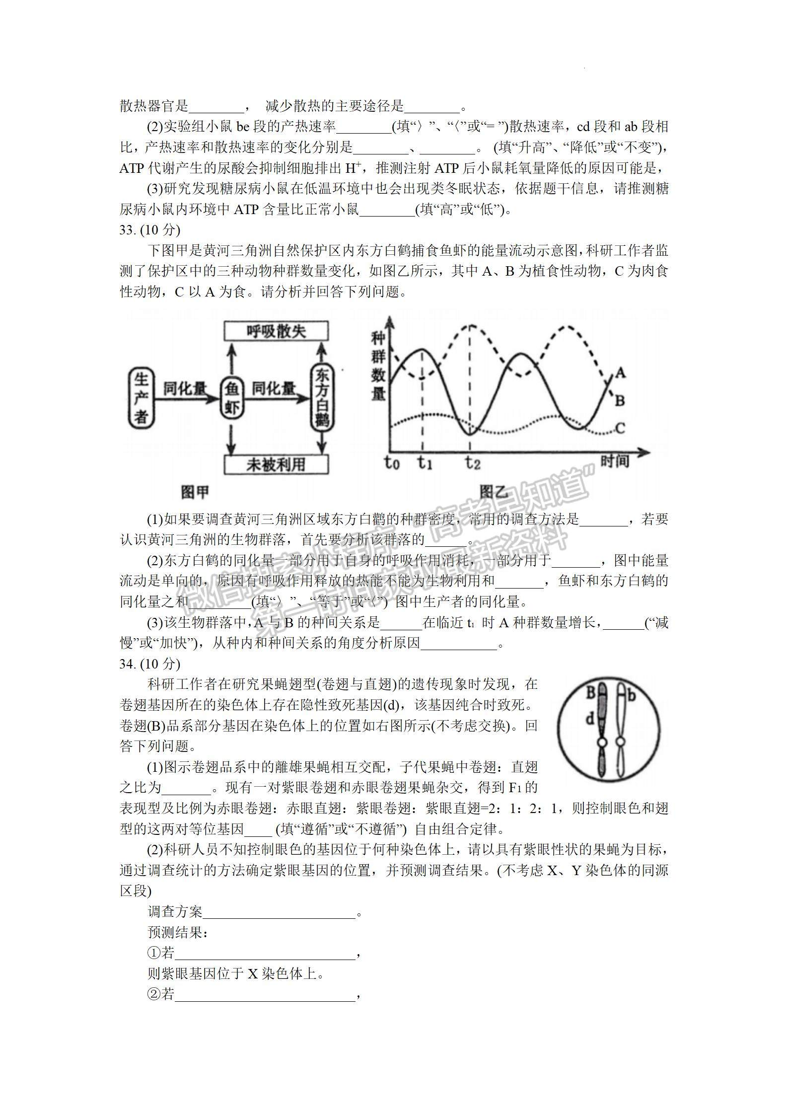 2024年郑州市高中毕业年级第一次质量预测生物试题及参考答案