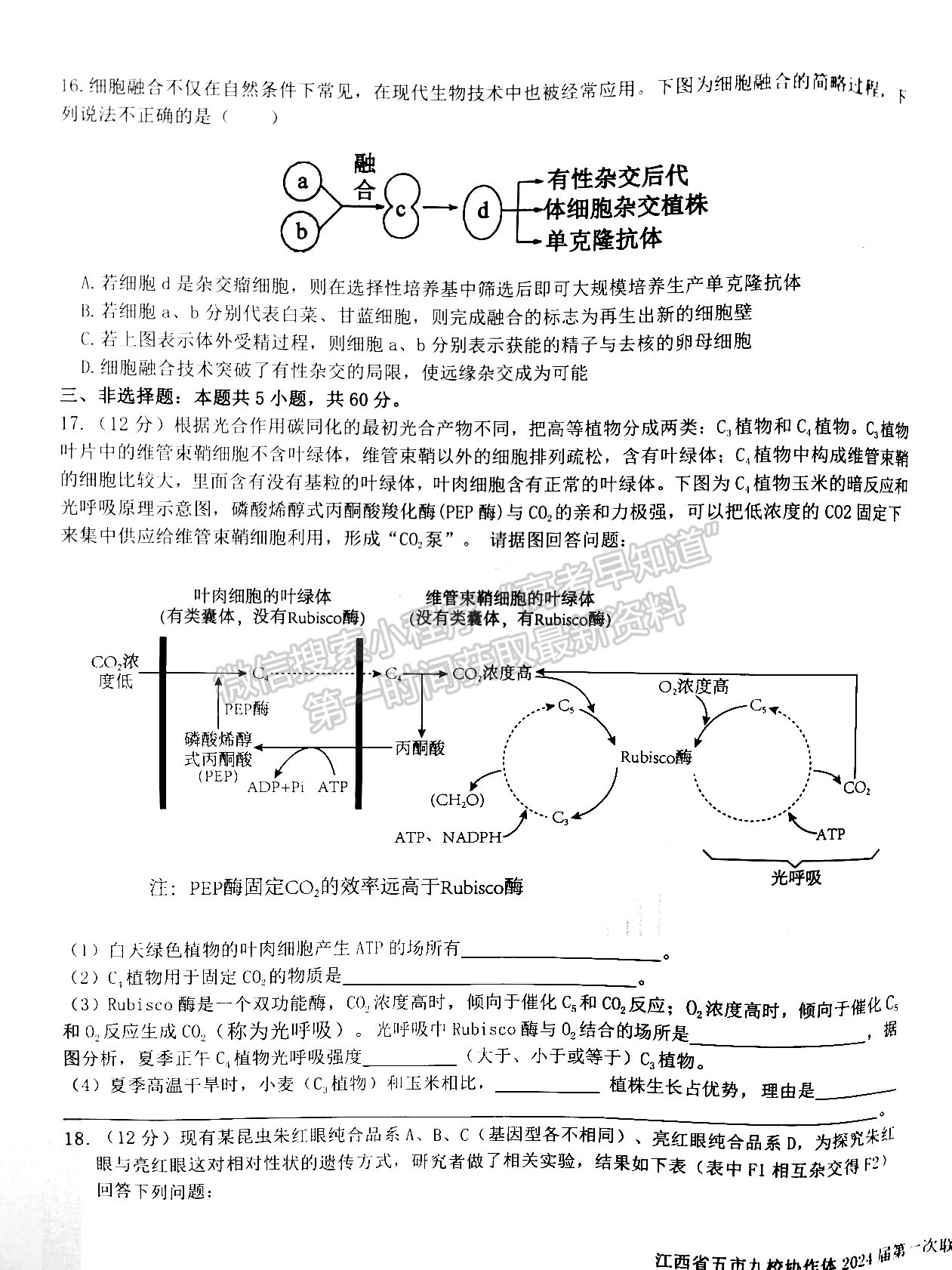 江西省五市九校協(xié)作體2023-2024學(xué)年高三上學(xué)期第一次聯(lián)考生物試卷及參考答案