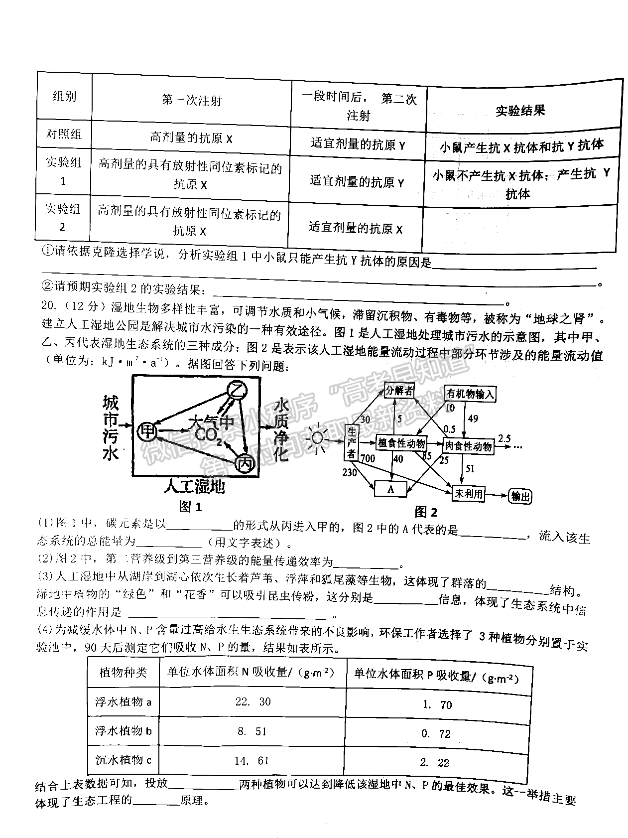 江西省五市九校協(xié)作體2023-2024學(xué)年高三上學(xué)期第一次聯(lián)考生物試卷及參考答案