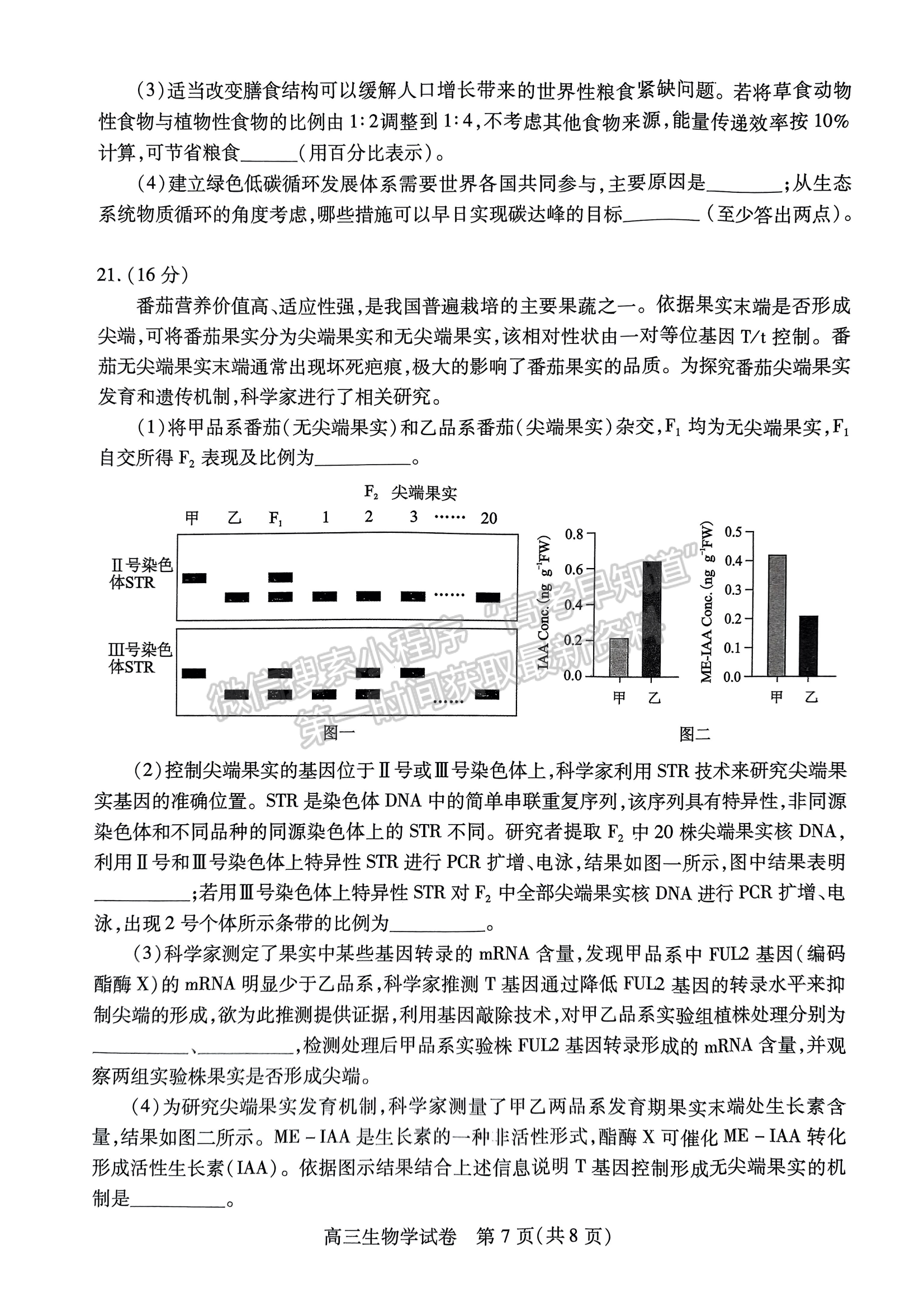 2024屆湖北省部分市州元月高三年級聯(lián)合調(diào)研生物試卷及答案