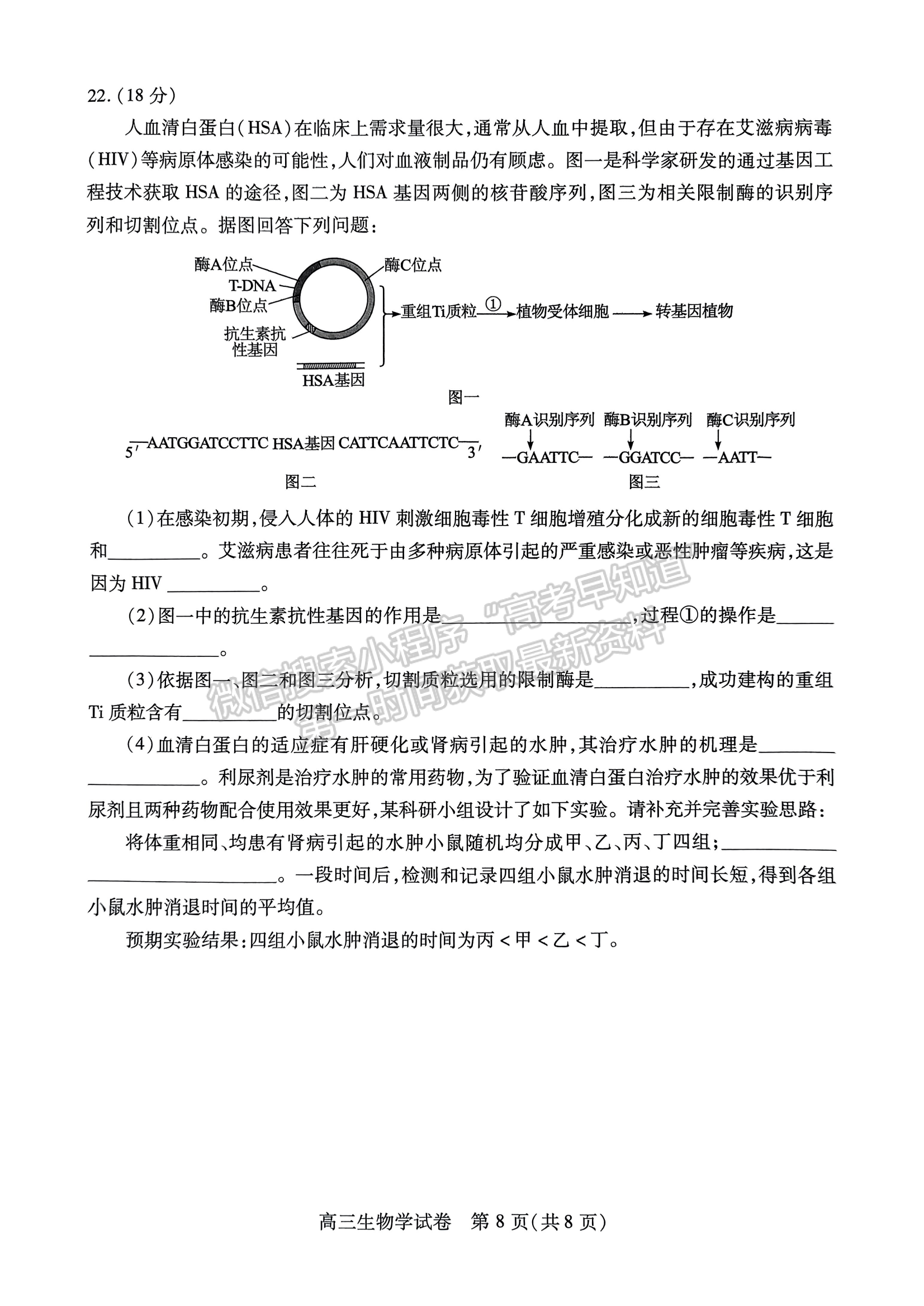 2024屆湖北省部分市州元月高三年級聯(lián)合調(diào)研生物試卷及答案