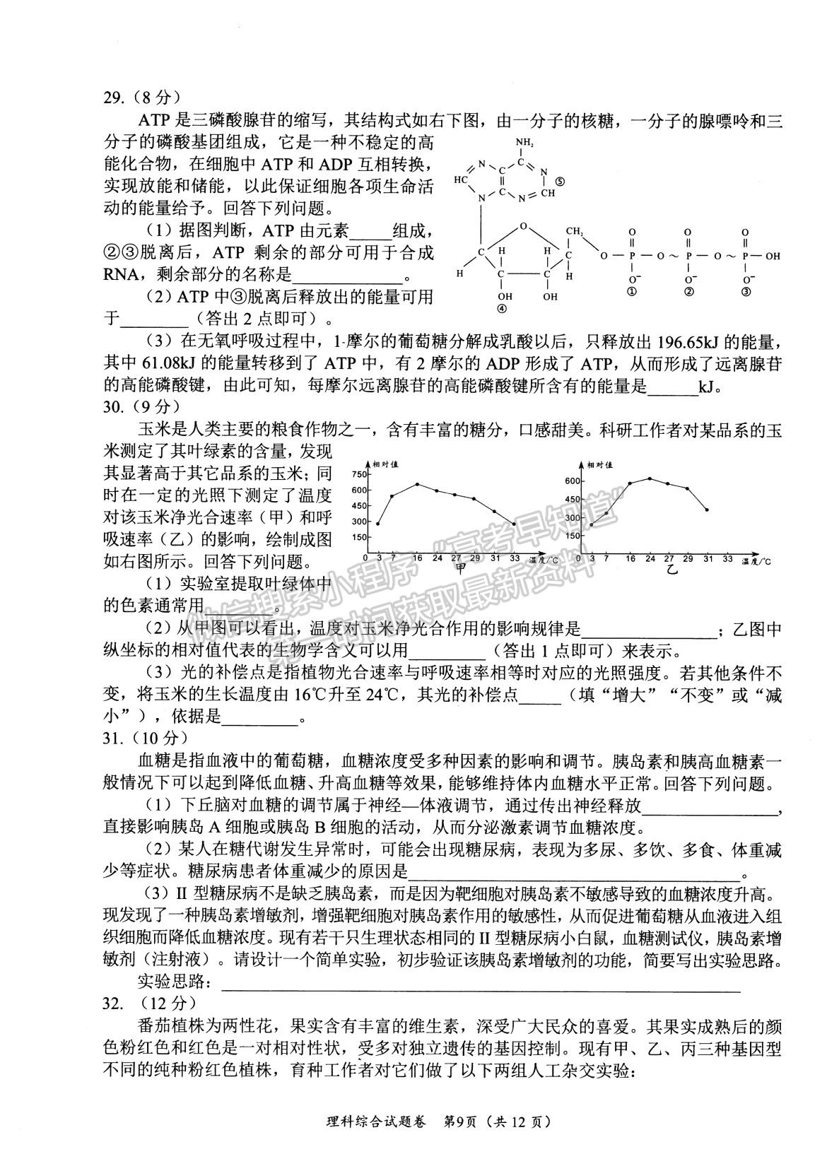 2024四川省绵阳市高中2021级第二次诊断性考试理综试题及参考答案