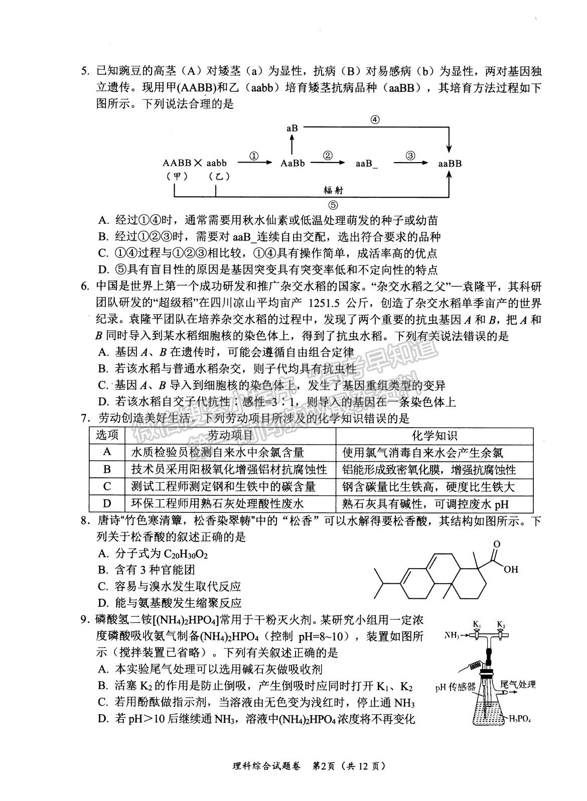 2024四川省綿陽(yáng)市高中2021級(jí)第二次診斷性考試?yán)砭C試題及參考答案