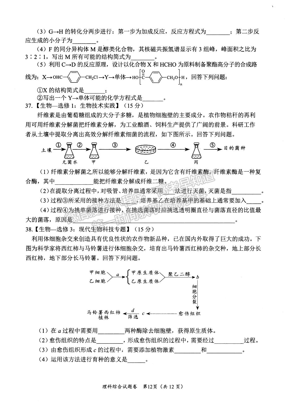 2024四川省绵阳市高中2021级第二次诊断性考试理综试题及参考答案