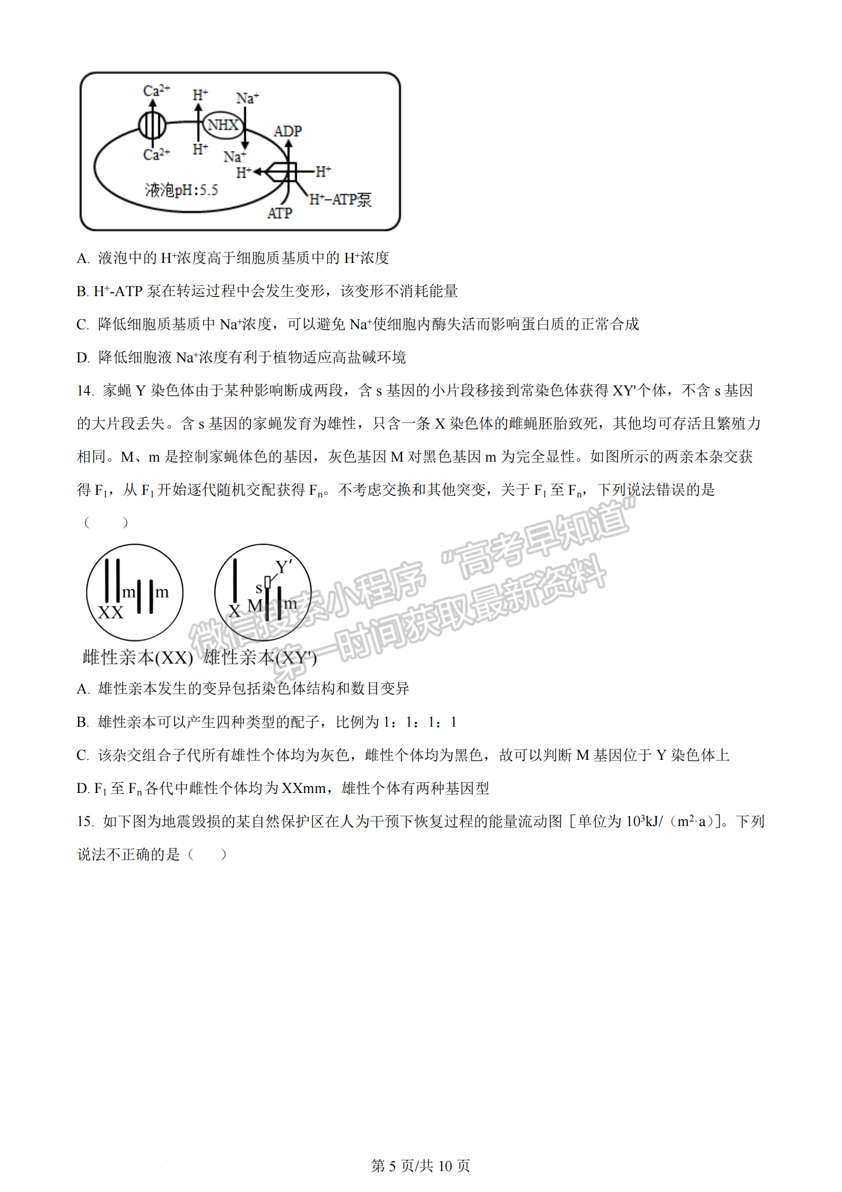 2024屆湖南省長沙一中高三月考（五）生物試題及答案