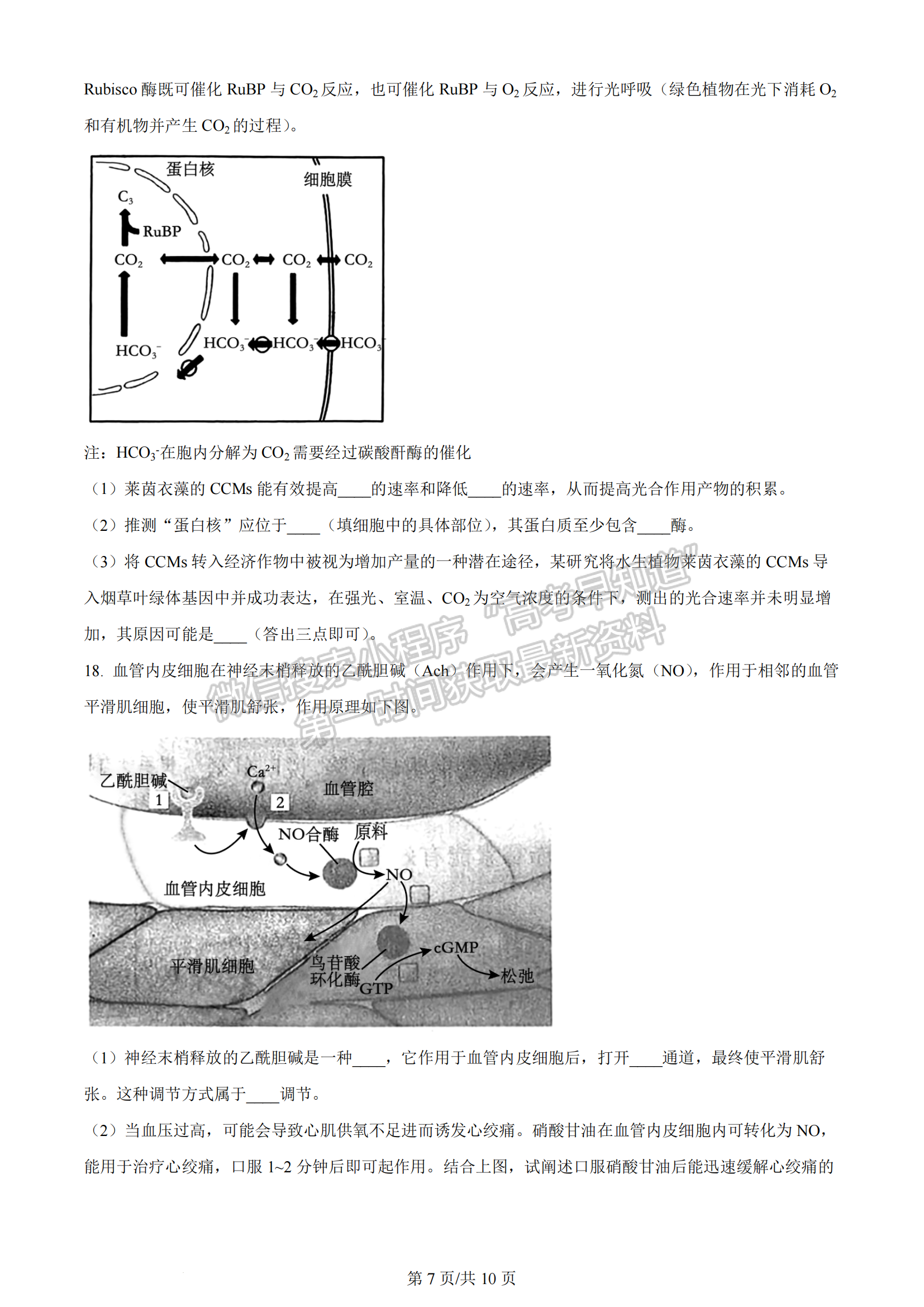 2024屆湖南省長沙一中高三月考（五）生物試題及答案